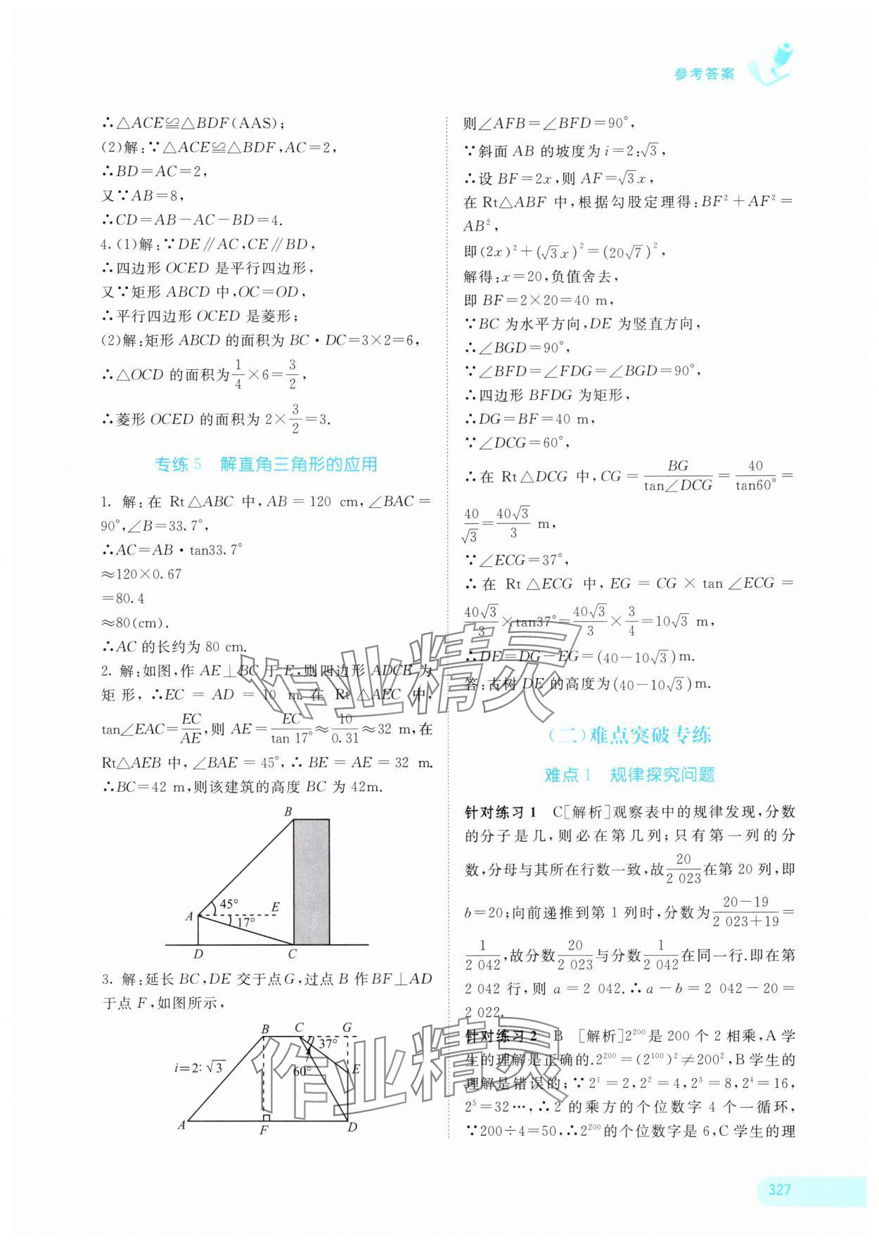 2024年中考寶典考點專項突破數(shù)學廣西專版 參考答案第20頁