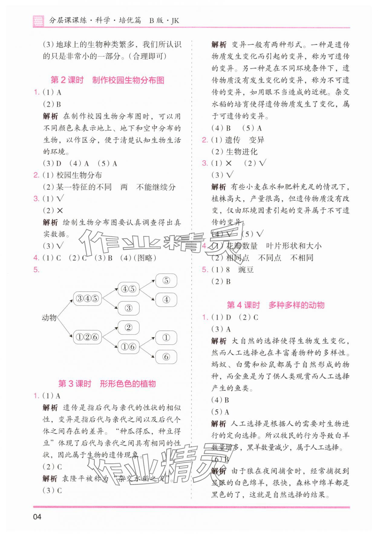 2025年木頭馬分層課課練六年級科學(xué)下冊教科版 第4頁
