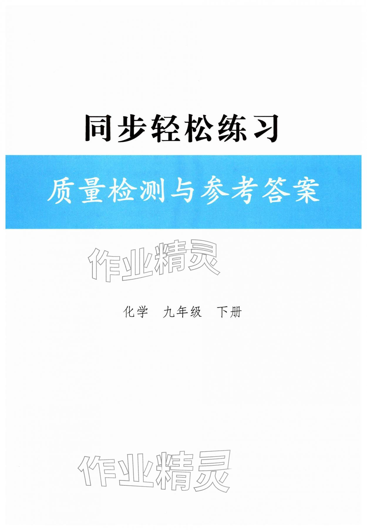 2026年同步轻松练习九年级化学下册人教版&nbsp;第1页