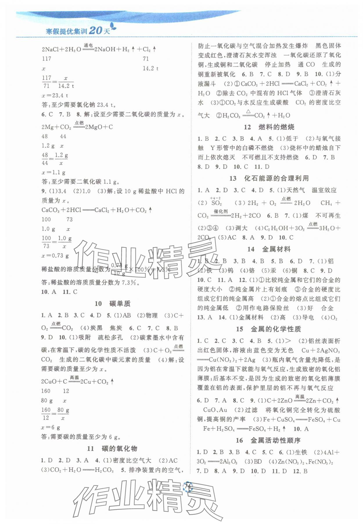2025年寒假提优集训20天九年级化学人教版 第2页