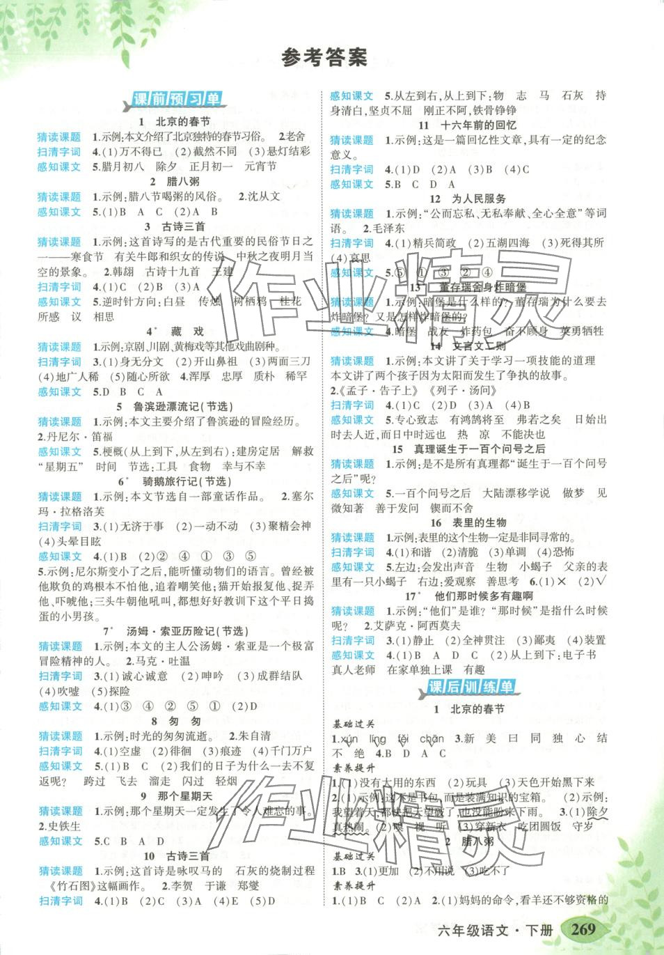 2025年黄冈状元成才路状元大课堂六年级语文下册人教版江西专版 第1页