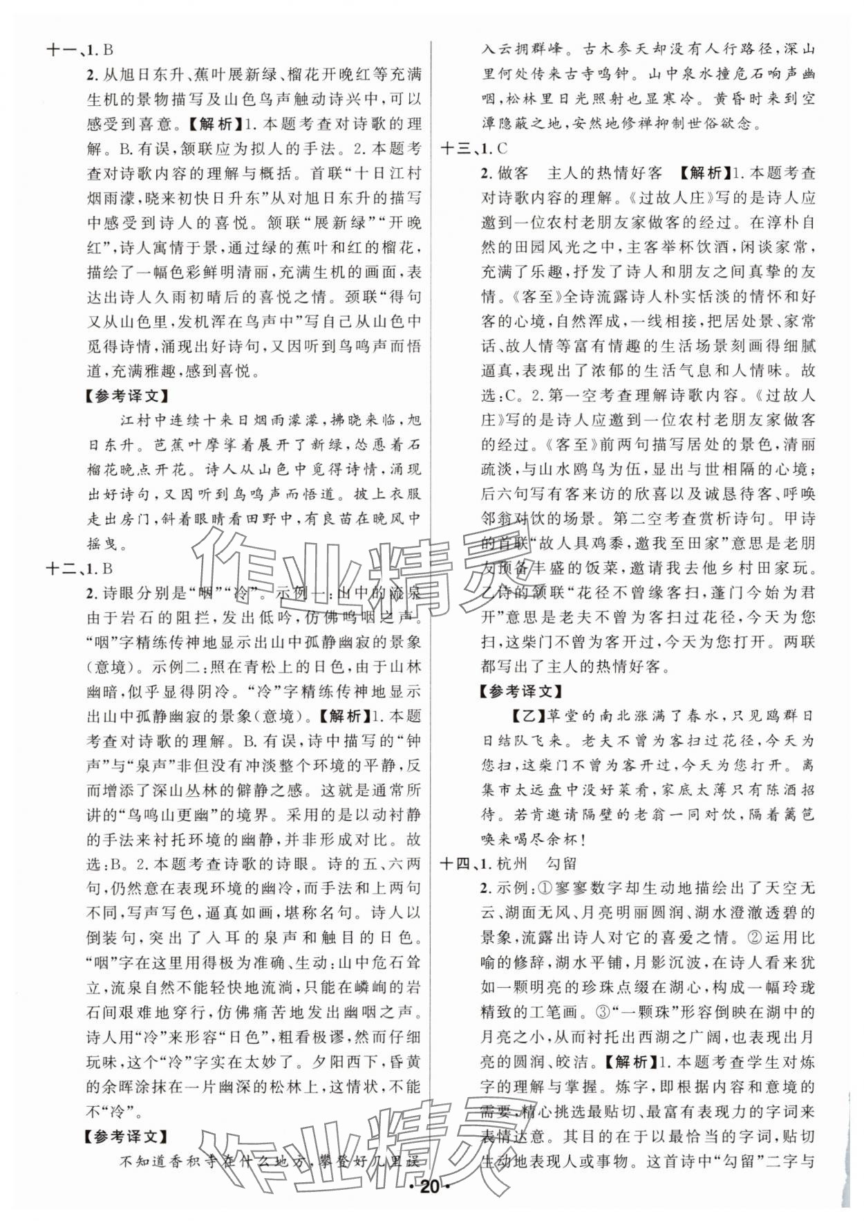 2025年智慧中考语文湖北专版 参考答案第20页