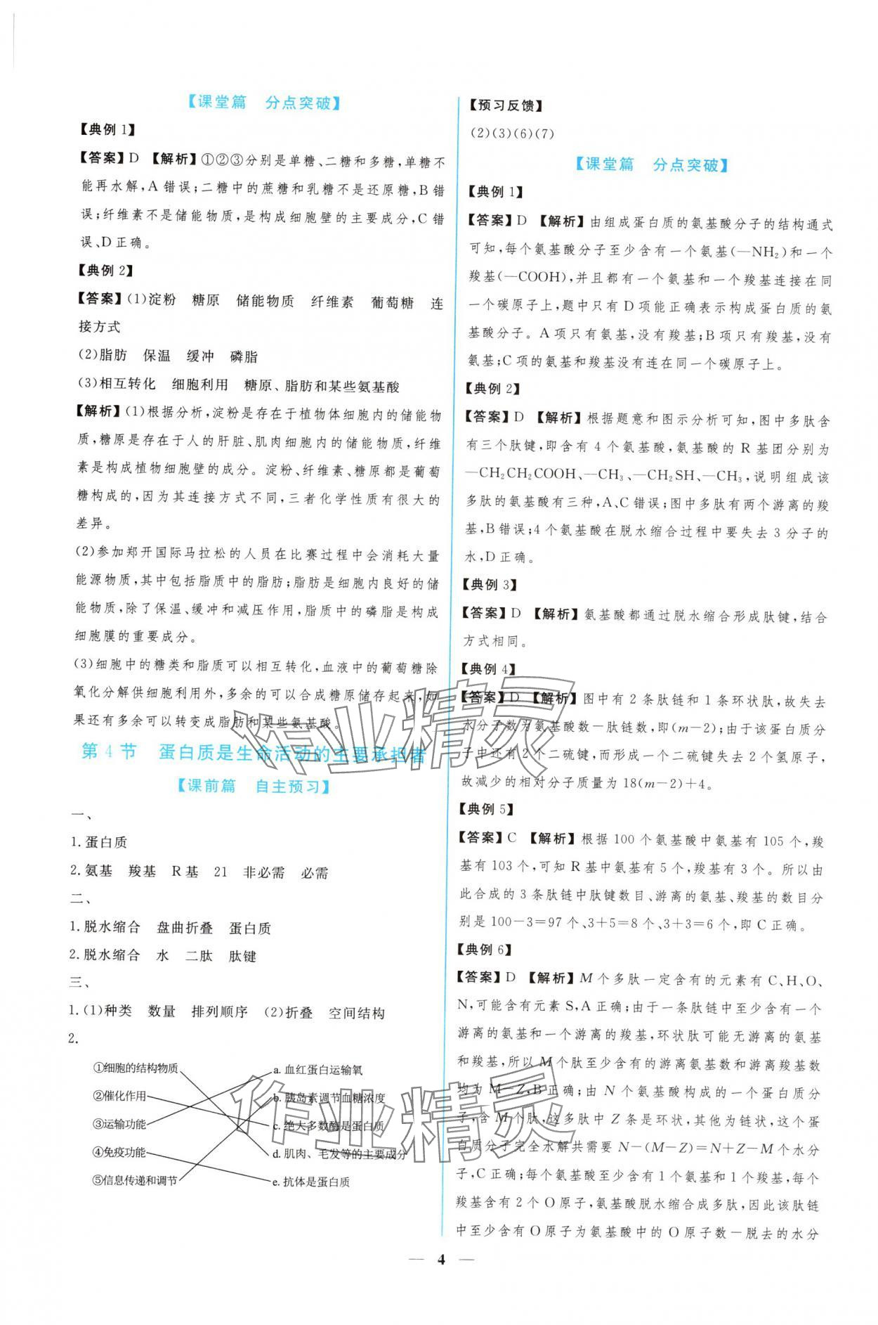 2024年新課程同步練習(xí)冊生物必修1人教版 參考答案第4頁