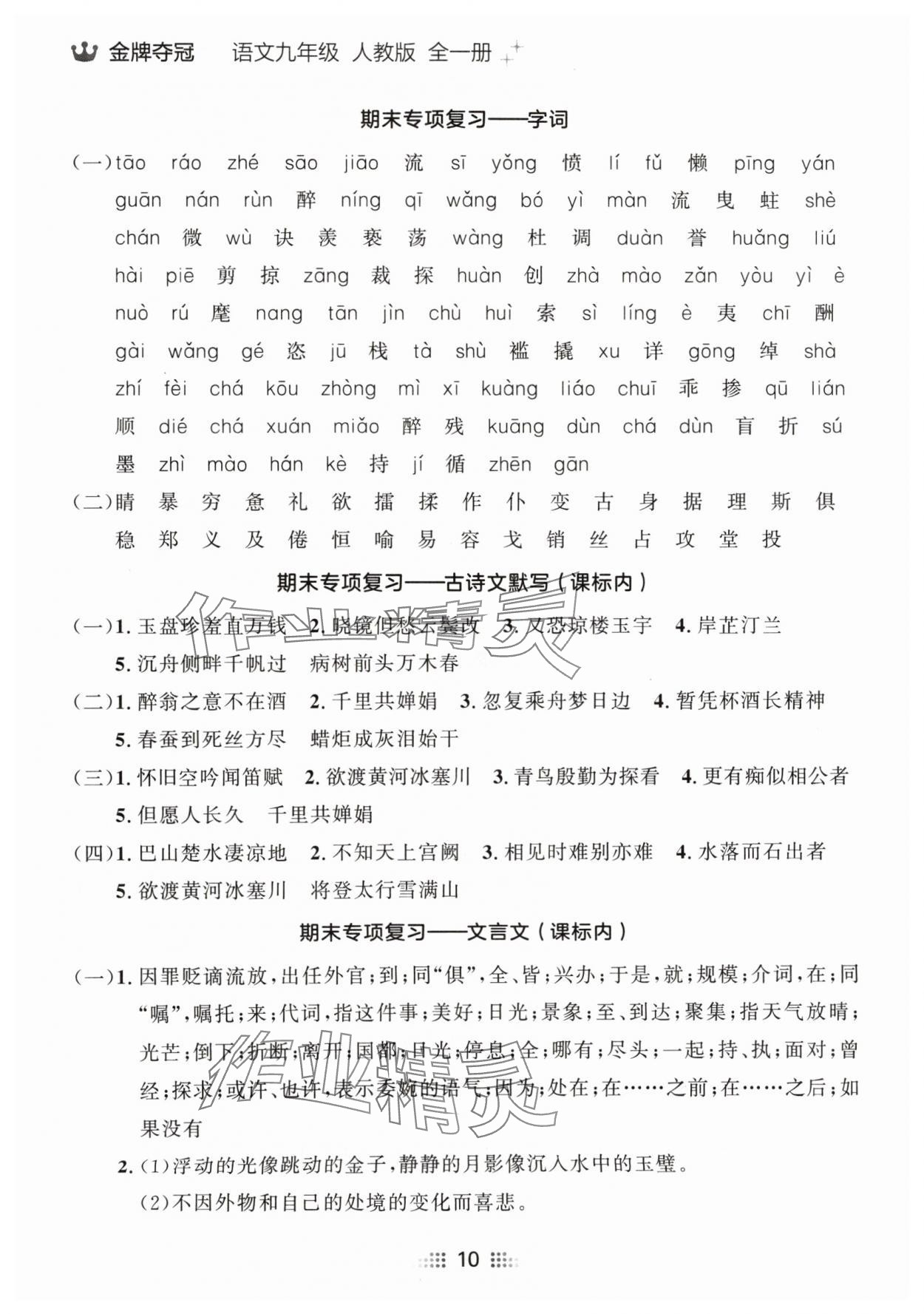 2024年點石成金金牌奪冠九年級語文全一冊人教版遼寧專版 參考答案第10頁