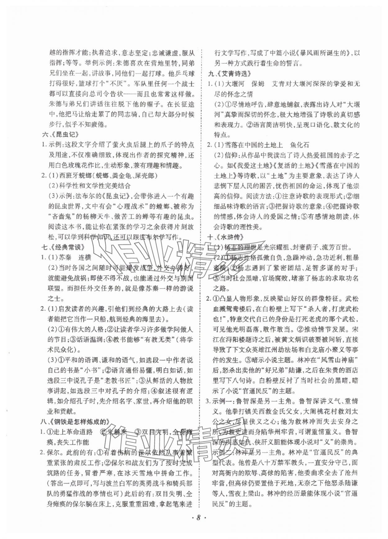 2025年本土攻略精準(zhǔn)復(fù)習(xí)方案語文云南專版 參考答案第8頁
