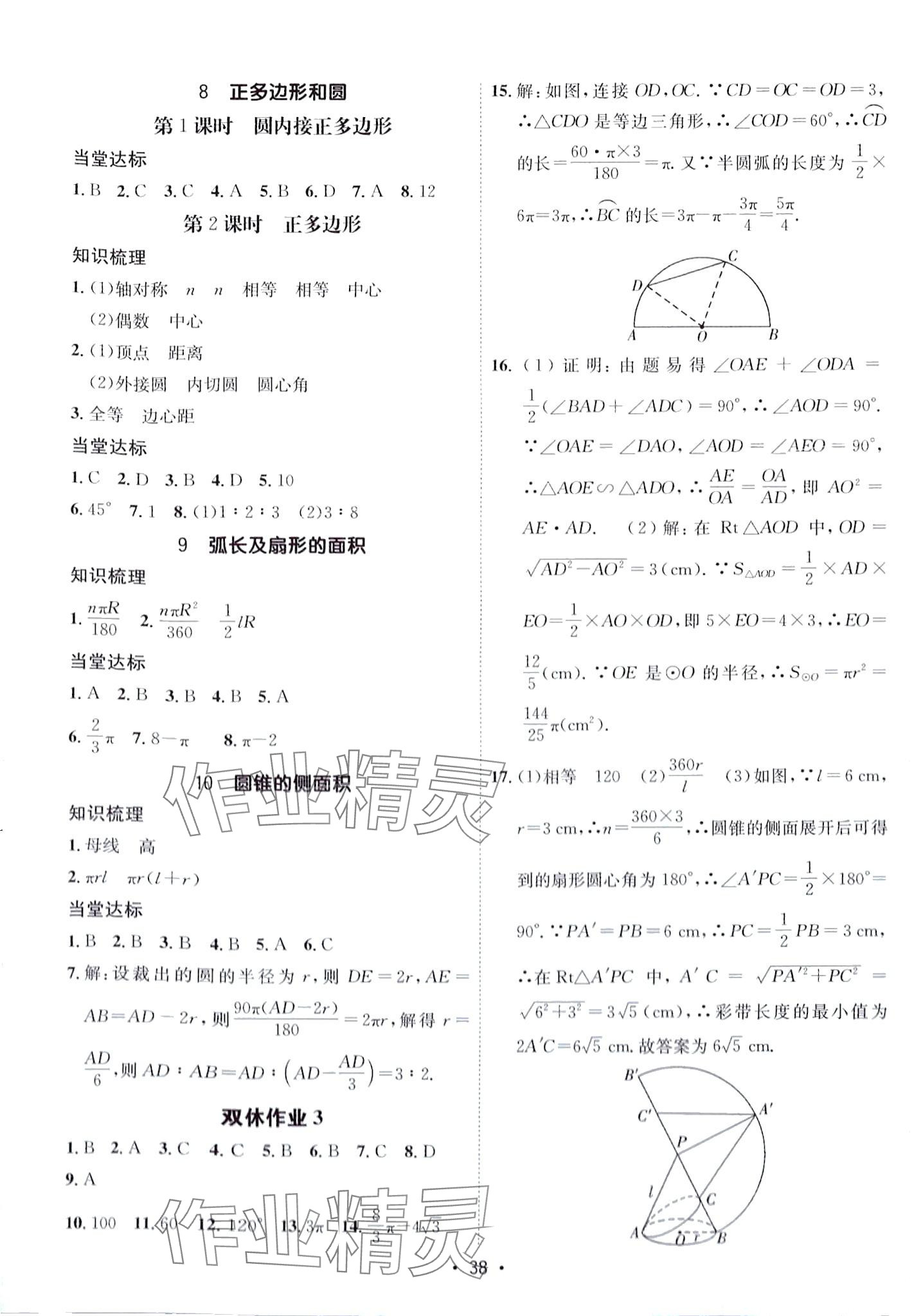 2024年同行學(xué)案九年級數(shù)學(xué)下冊魯教版 第4頁