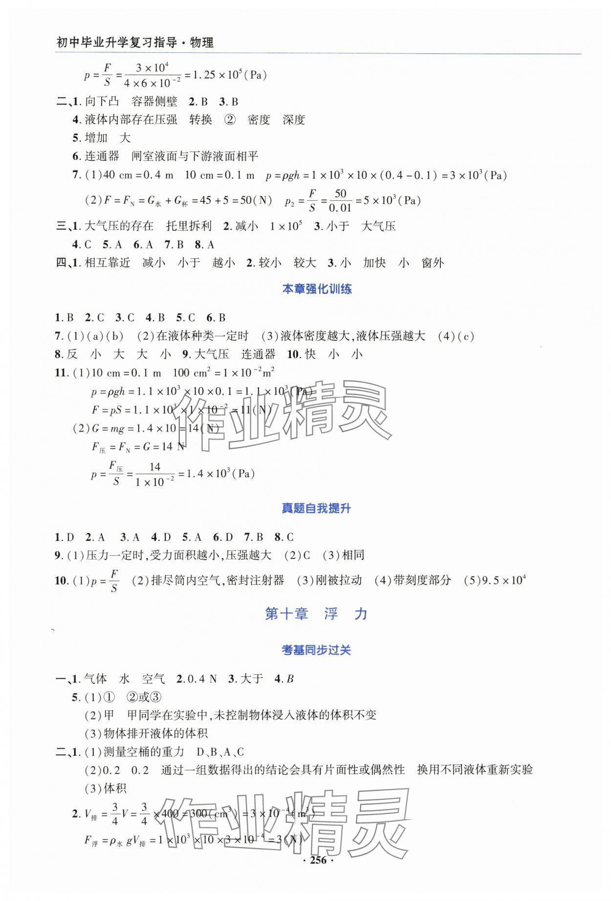 2025年初中畢業(yè)升學復習指導中考物理 第8頁