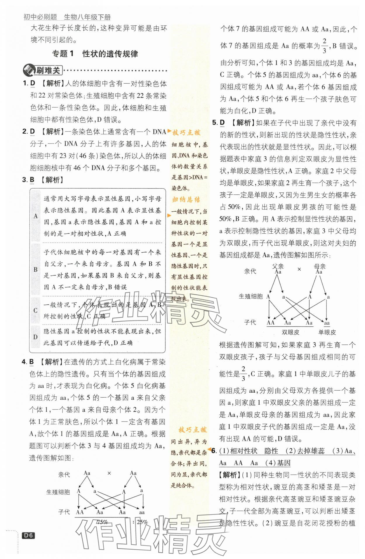 2024年初中必刷题八年级生物下册苏教版 第6页