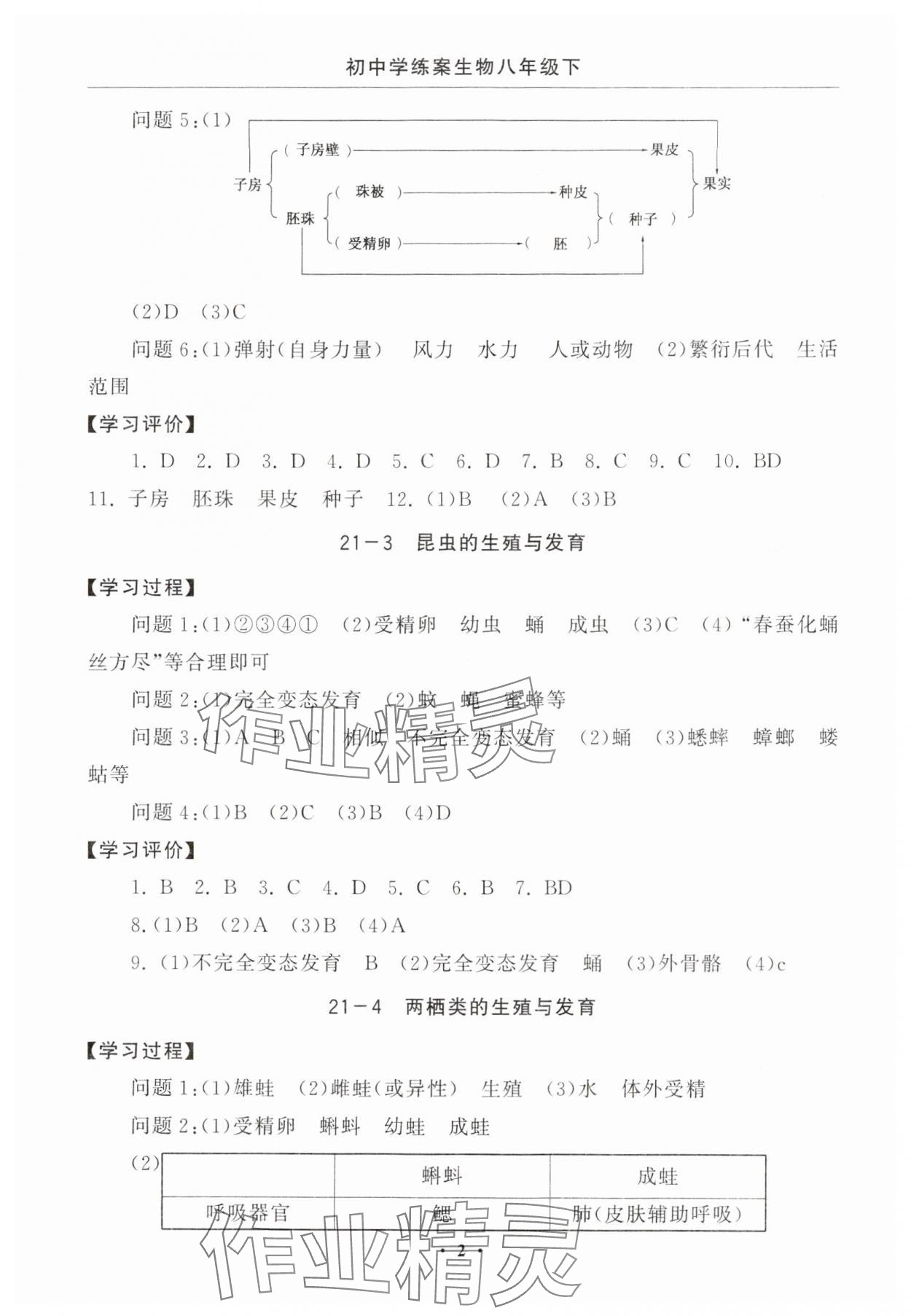 2025年初中學(xué)練案八年級(jí)生物下冊(cè)蘇教版 參考答案第2頁(yè)