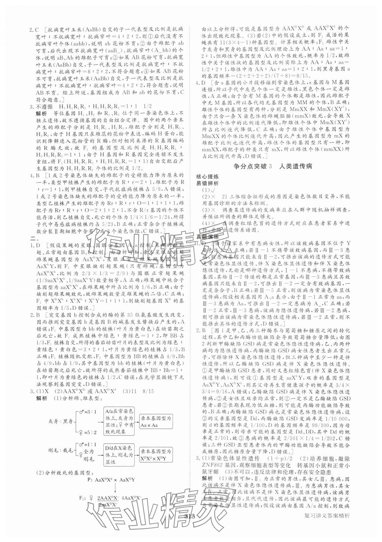 2025年步步高大二輪專題復(fù)習(xí)高中生物 參考答案第10頁