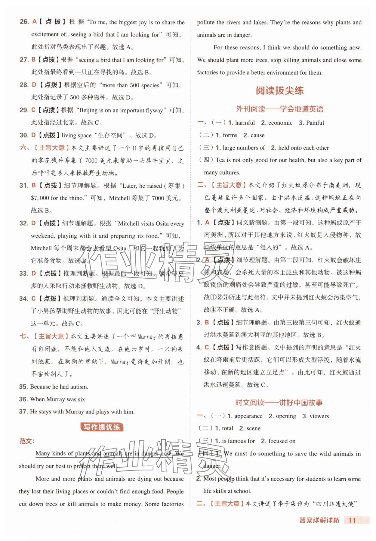 2025年综合应用创新题典中点八年级英语上册人教版安徽专版 第11页