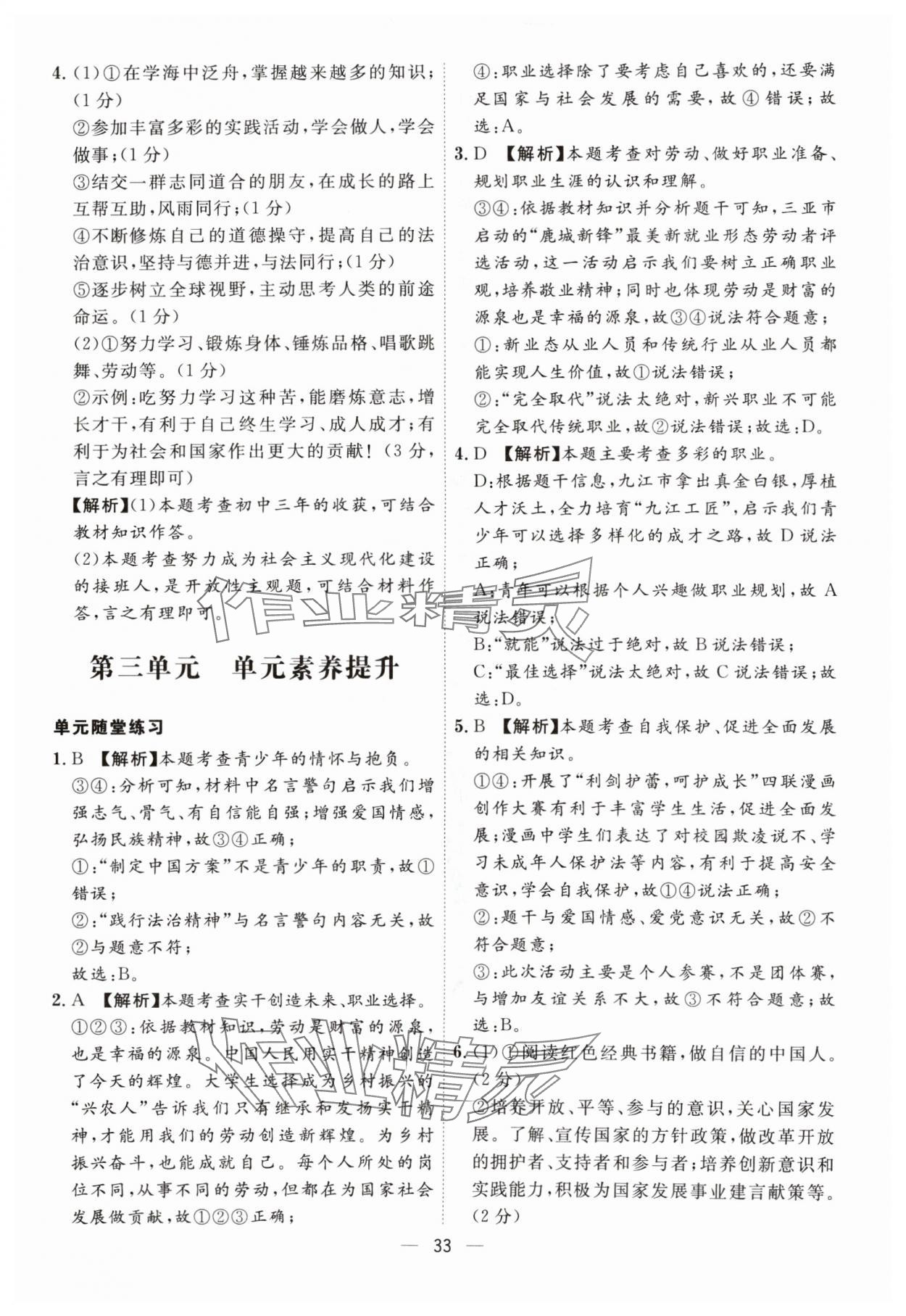 2024年名師金典九年級(jí)道德與法治全一冊(cè)人教版深圳專版 第33頁(yè)