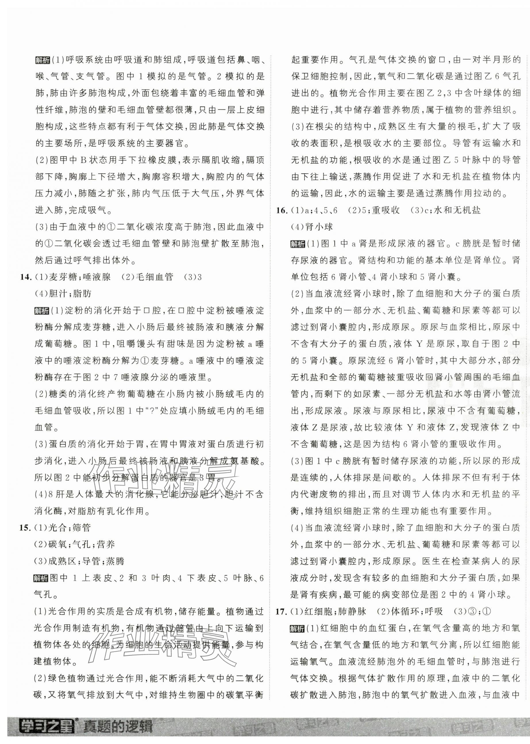 2025年名校大考卷七年級生物下冊人教版大連專版 第9頁