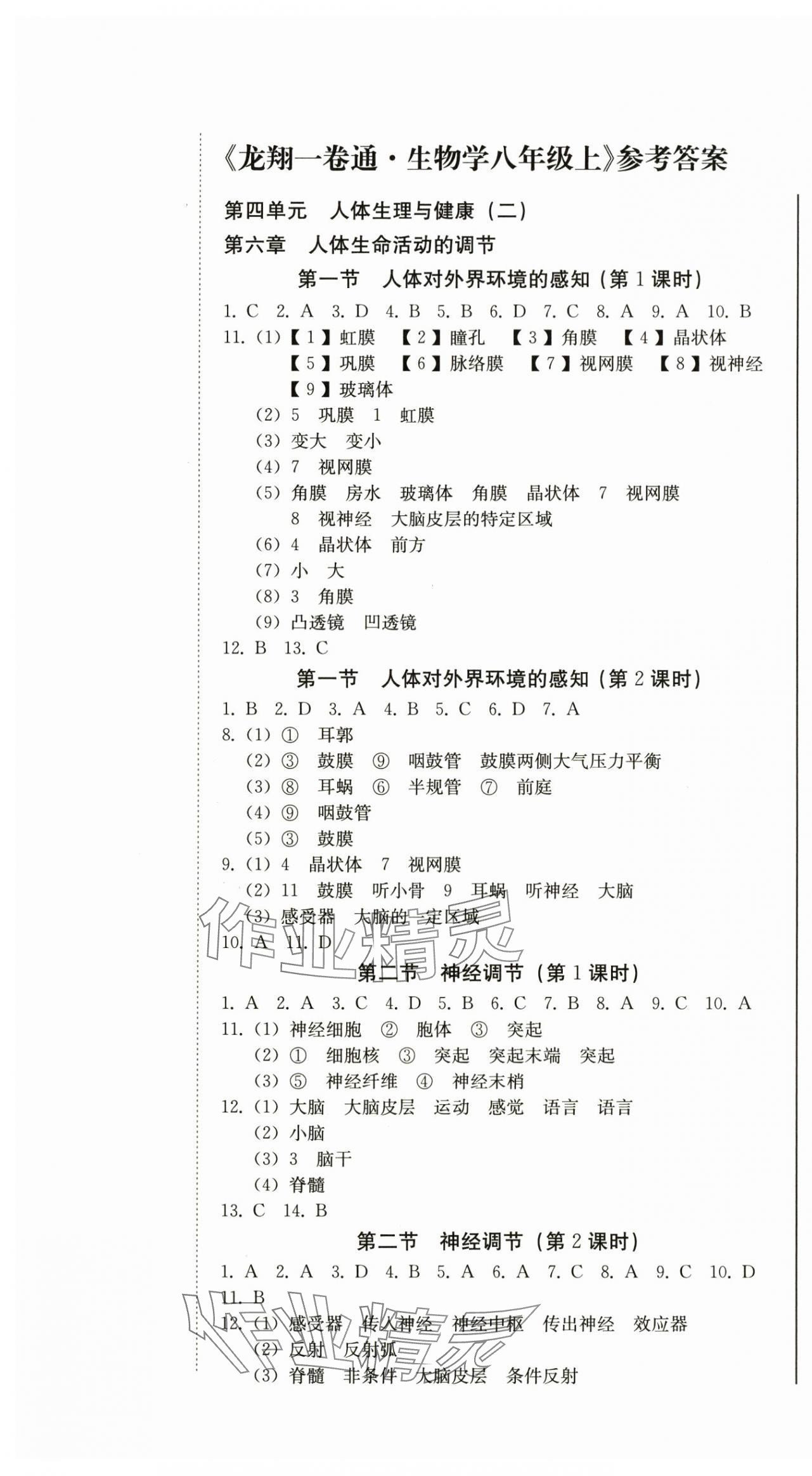 2025年龙翔一卷通八年级生物上册人教版 第1页