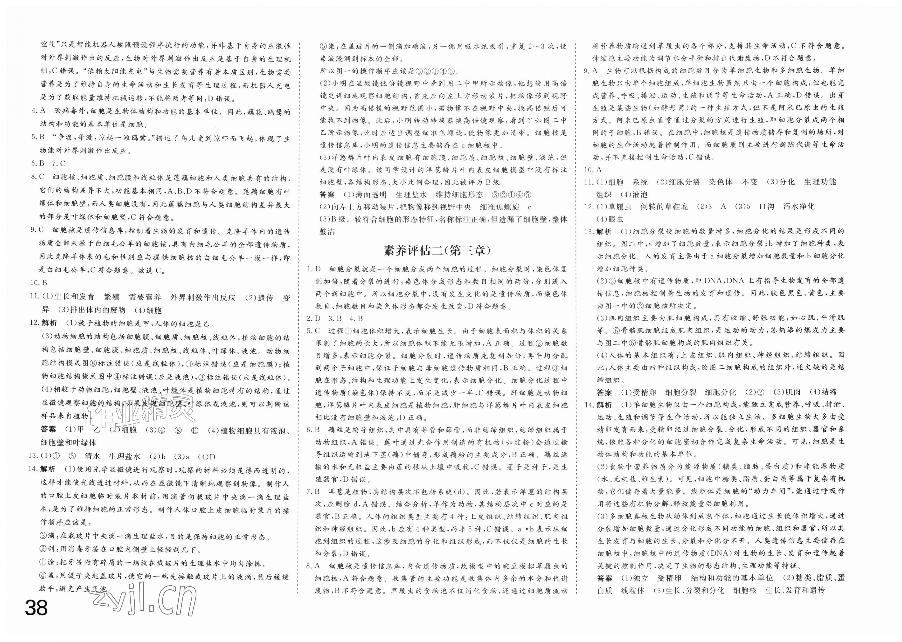 2026年智慧课堂素养评估七年级生物上册人教版&nbsp;第2页