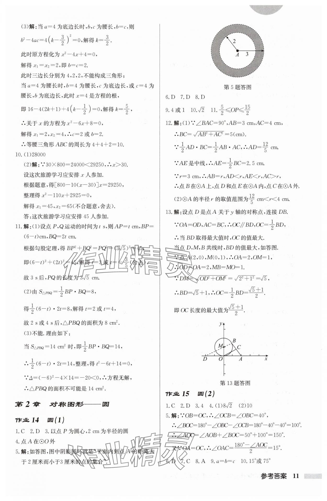 2024年启东中学作业本九年级数学上册苏科版徐州专版 参考答案第11页