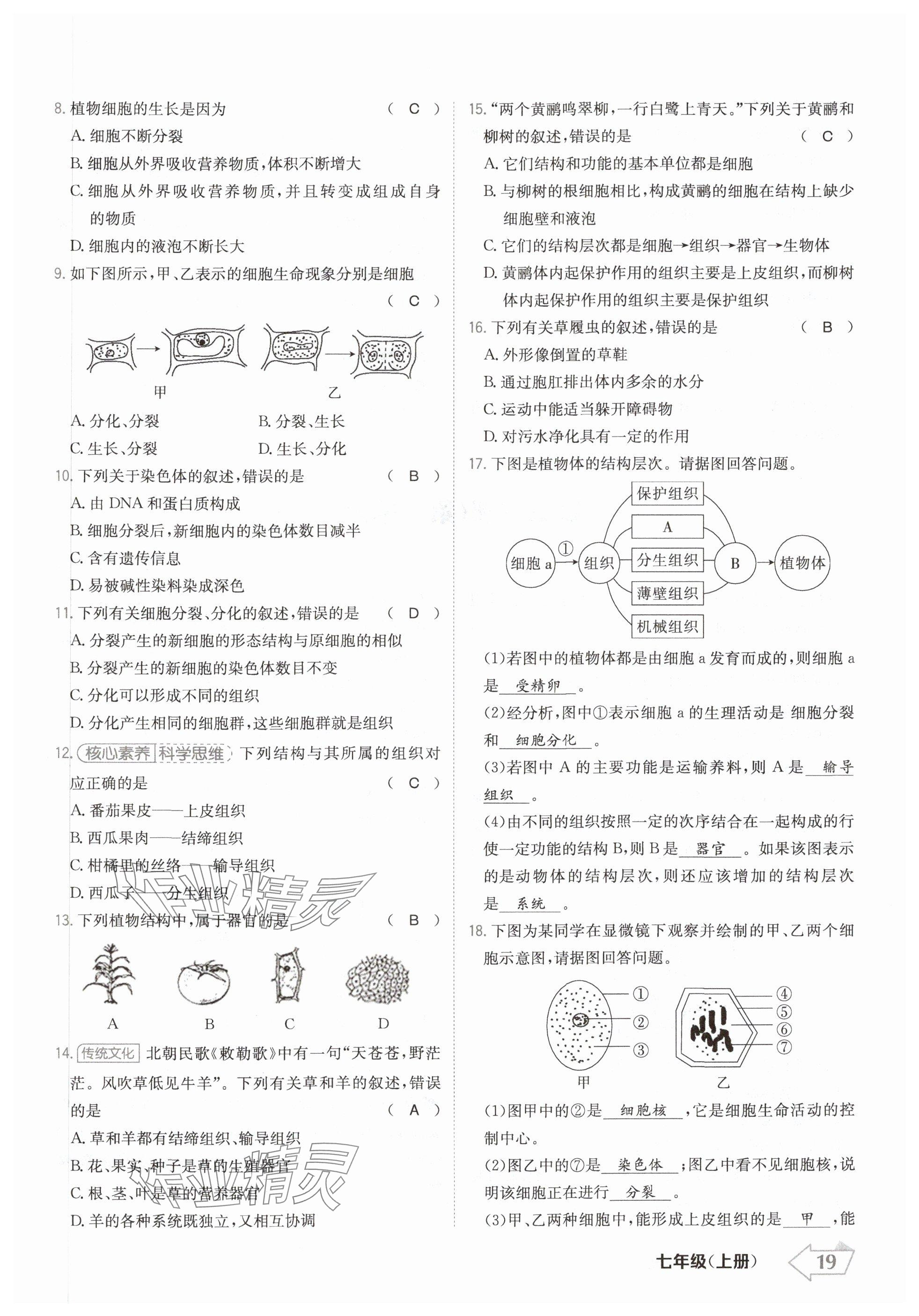 2024年金牌學(xué)練測(cè)七年級(jí)生物上冊(cè)人教版 參考答案第19頁(yè)