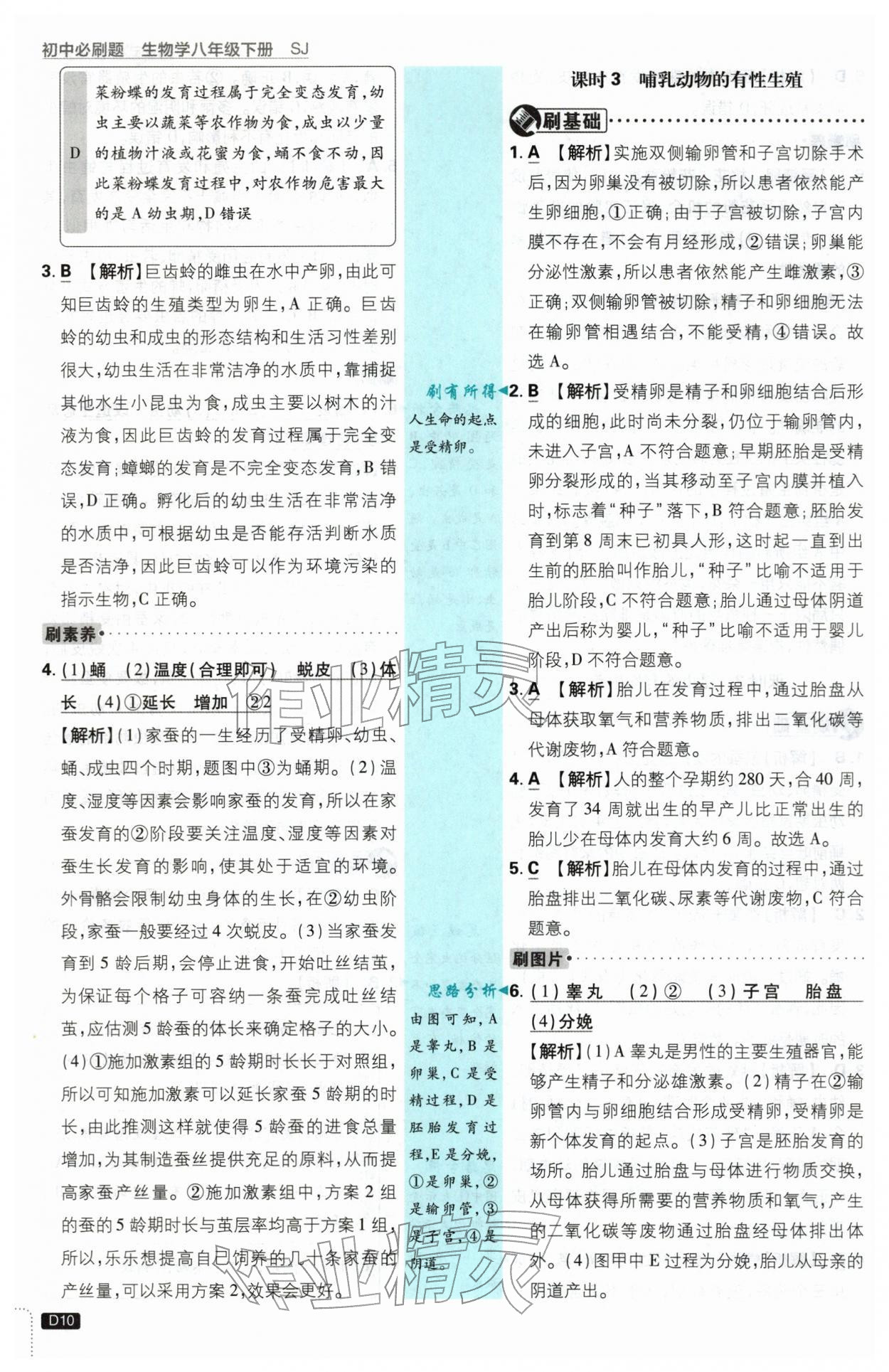 2026年初中必刷题八年级生物下册苏教版&nbsp;第10页
