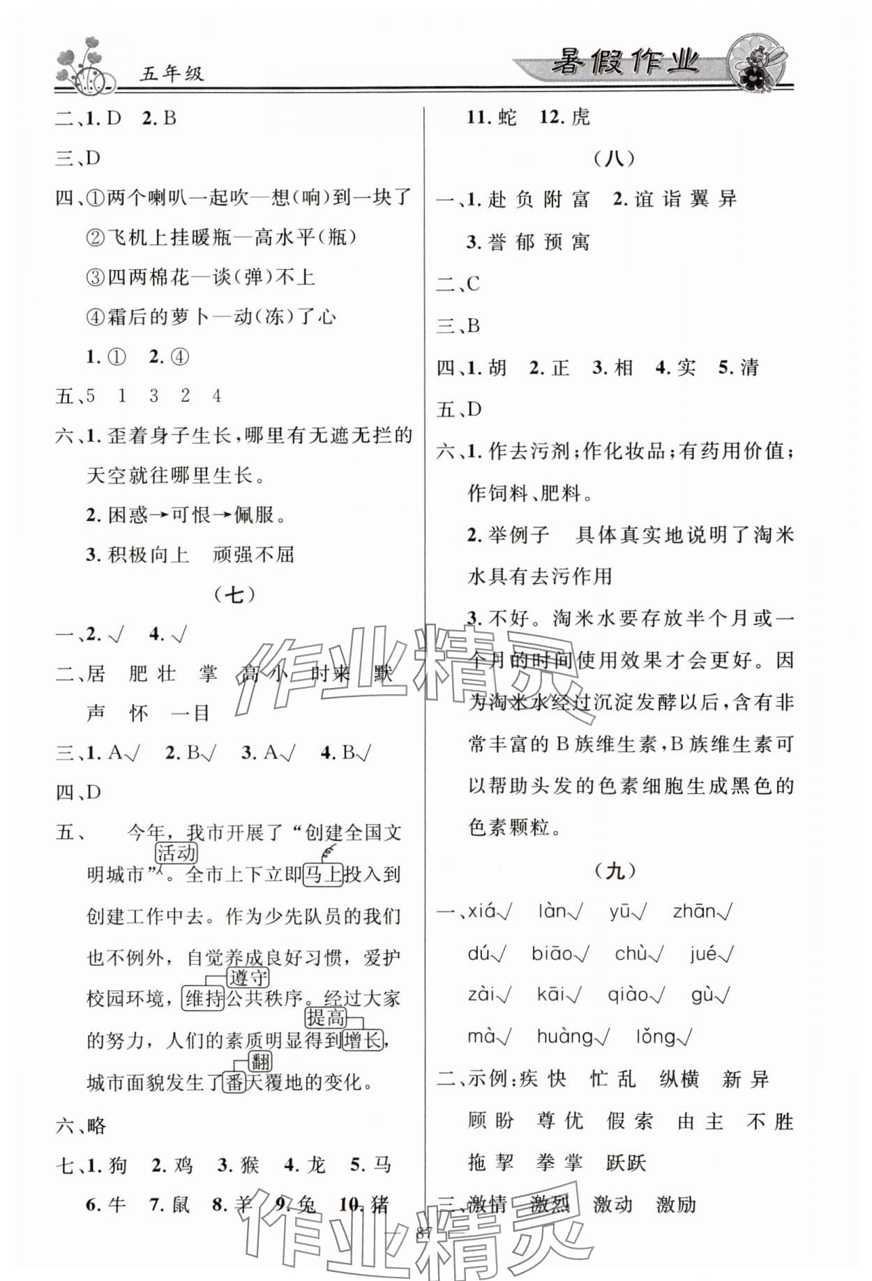 2024年百年学典快乐假期暑假作业五年级 第3页