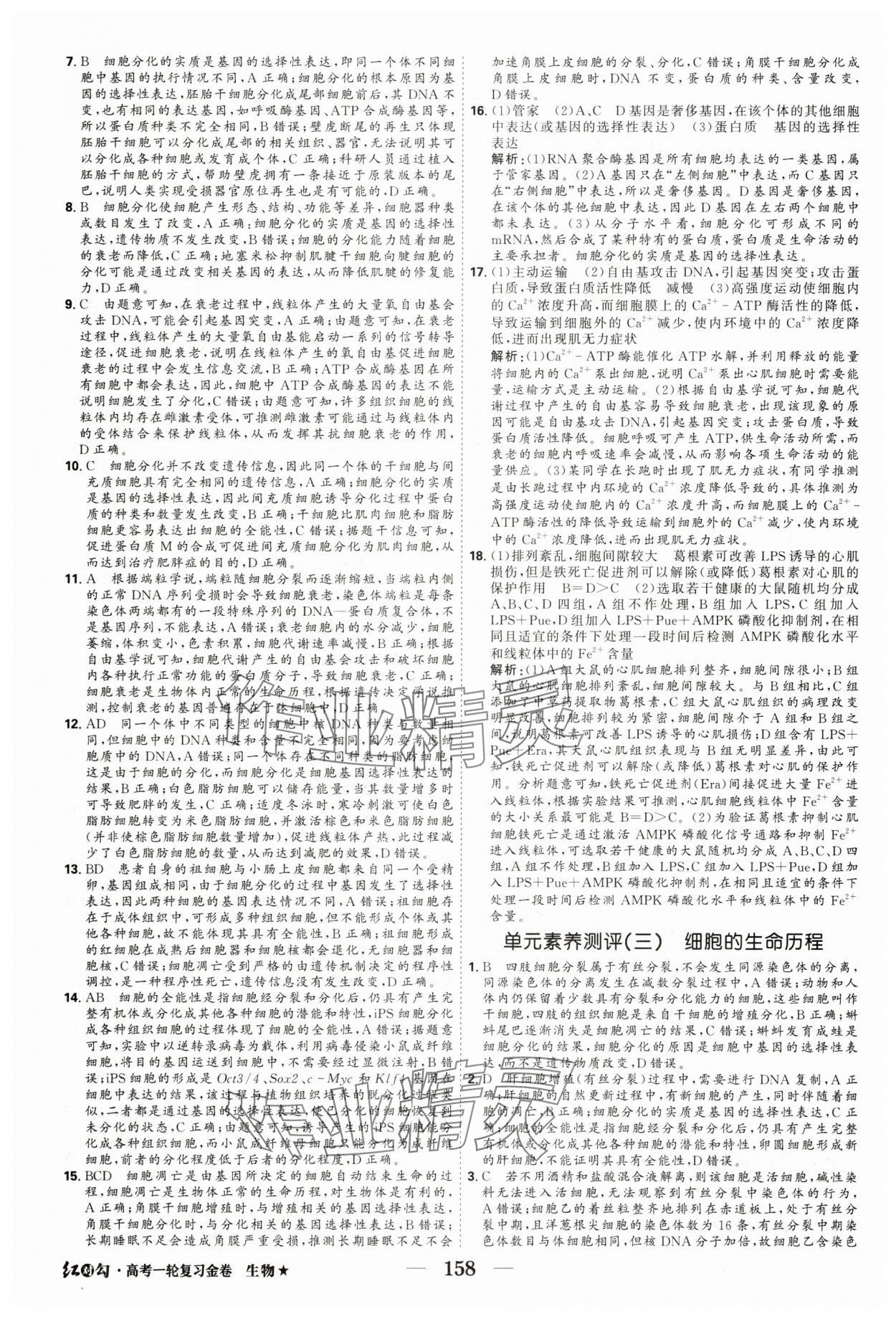2025年紅對勾高考一輪復(fù)習(xí)金卷生物 第20頁