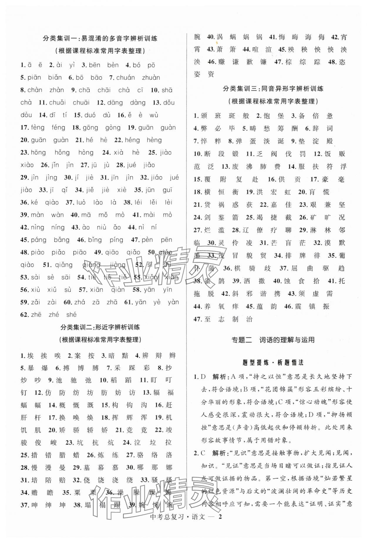 2025年创新与探究中考总复习语文 参考答案第2页