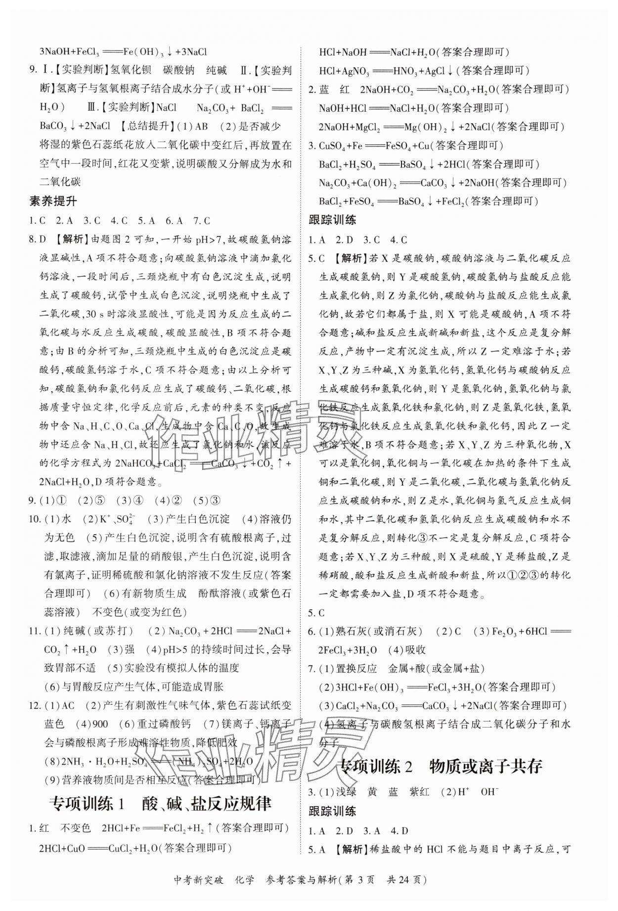 2025年宏閱文化中考新突破化學(xué)廣西專版&nbsp;第3頁(yè)