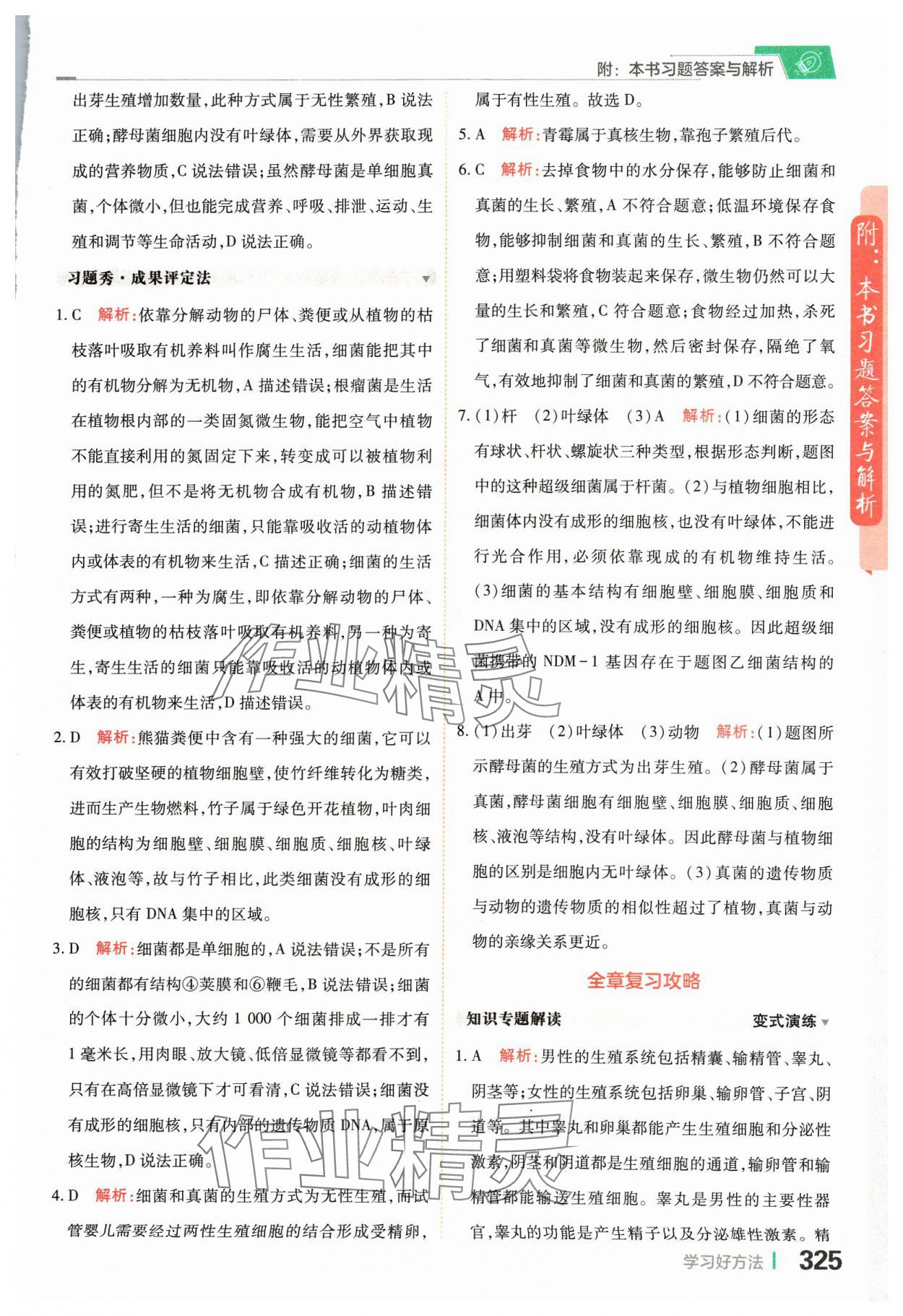 2024年倍速學(xué)習(xí)法七年級科學(xué)下冊浙教版 參考答案第7頁