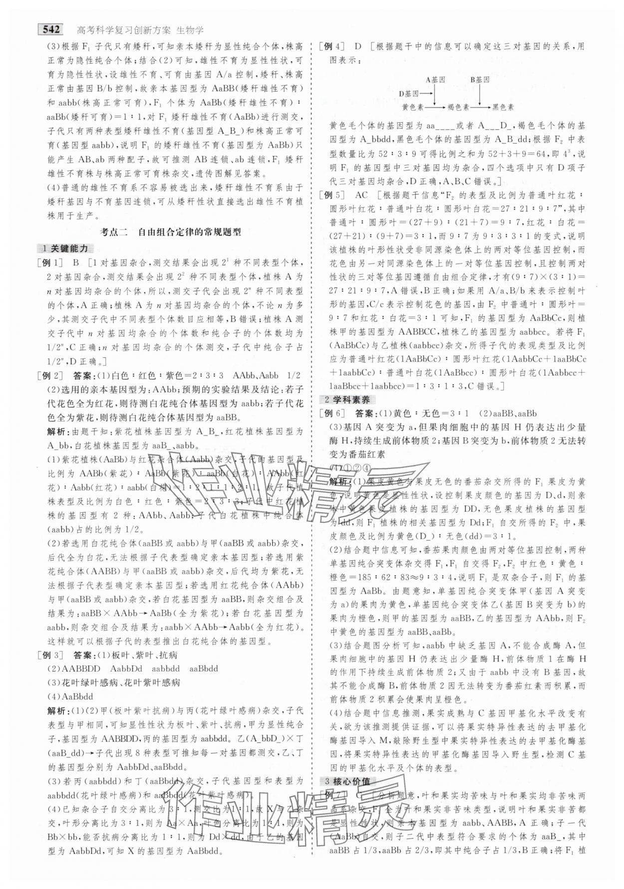 2025年金版教程高考科學復習解決方案生物創(chuàng)新版 第28頁