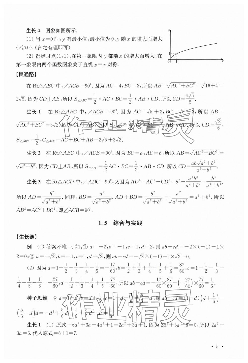 2024年一輪貫通七年級數學通用版 第5頁