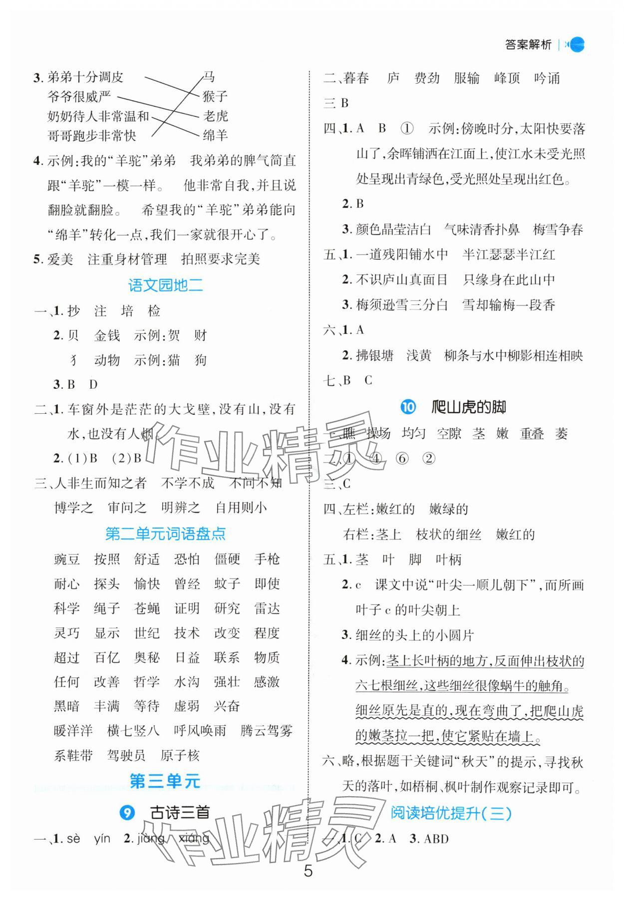 2024年细解巧练四年级语文上册人教版 参考答案第5页