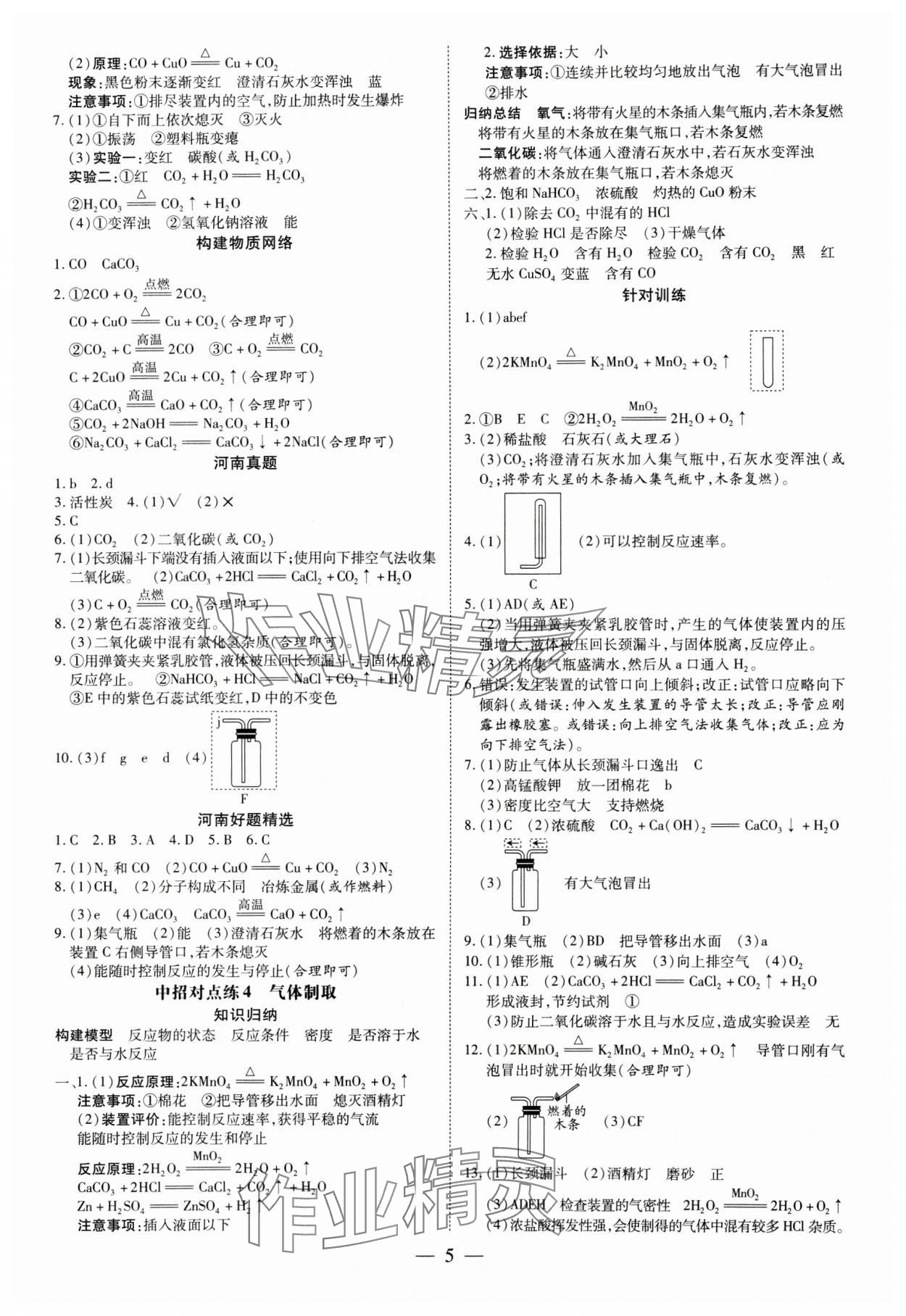 2025年領(lǐng)跑中考化學(xué)河南專(zhuān)版 第5頁(yè)