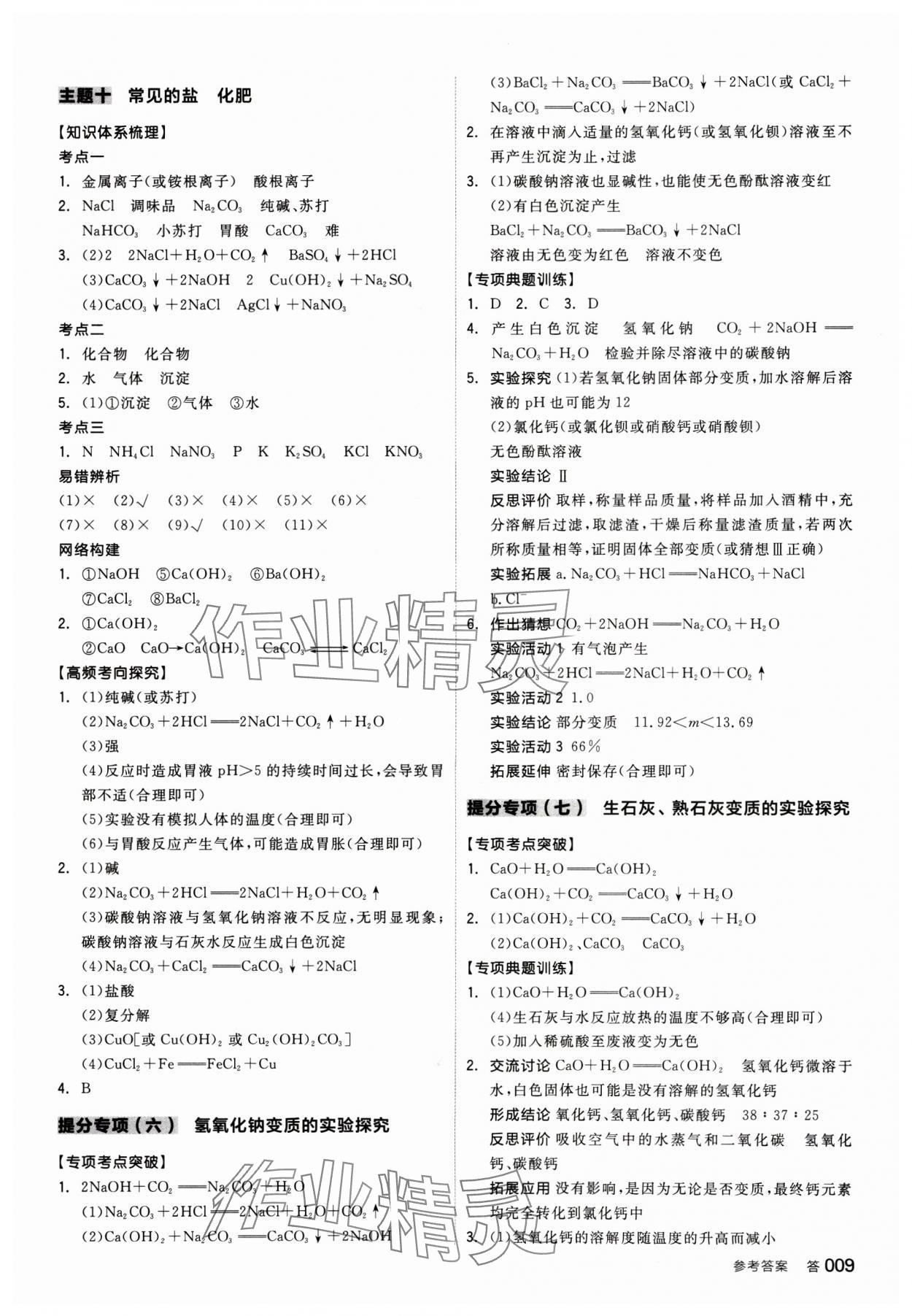 2025年全品中考复习方案化学人教版 参考答案第8页