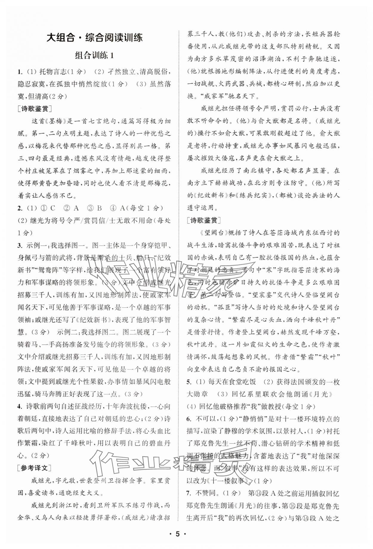 2025年通城學(xué)典組合訓(xùn)練七年級語文下冊江蘇專版 參考答案第5頁