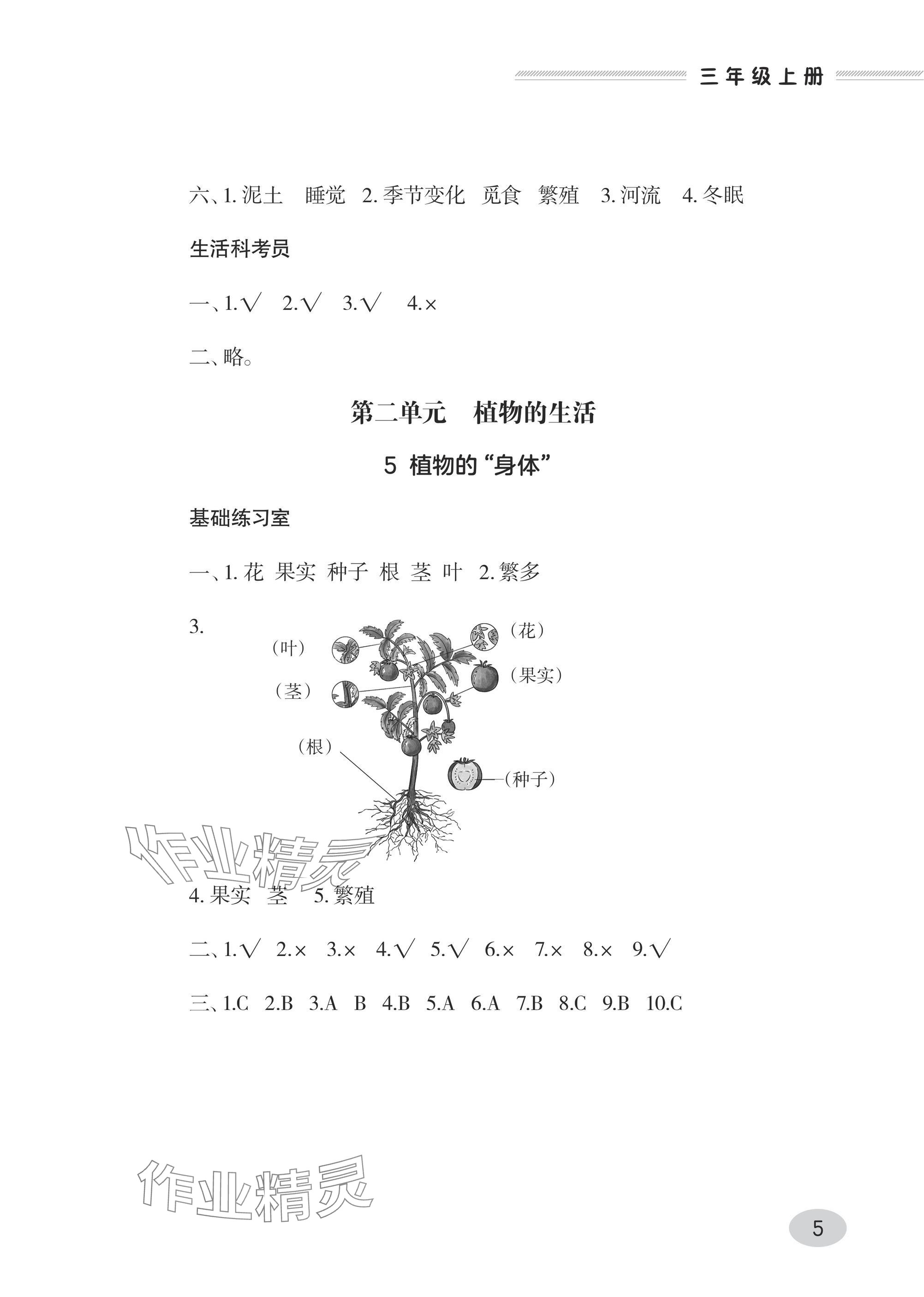 2024年同步练习册青岛出版社三年级科学上册青岛版 参考答案第5页