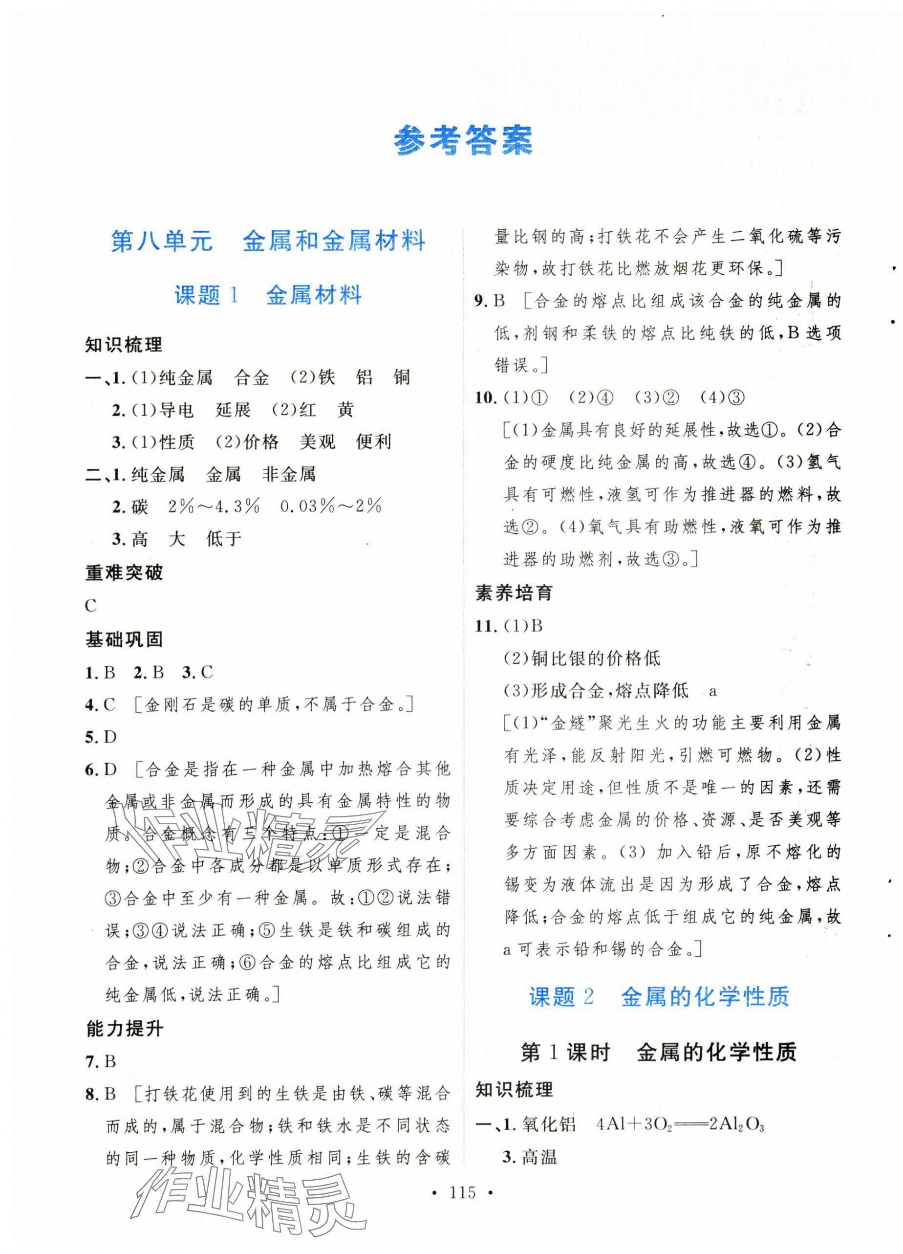 2025年實(shí)驗(yàn)教材新學(xué)案九年級化學(xué)下冊人教版 第1頁