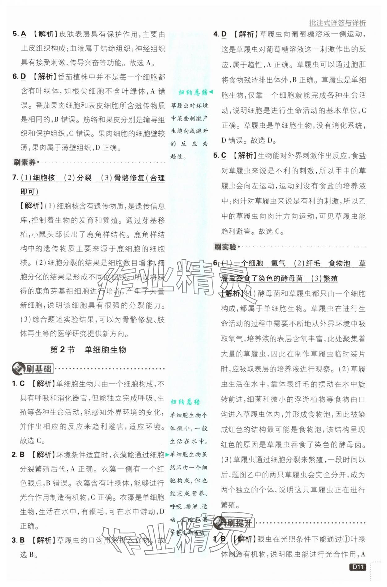 2025年初中必刷題七年級(jí)生物上冊(cè)蘇教版 第11頁(yè)
