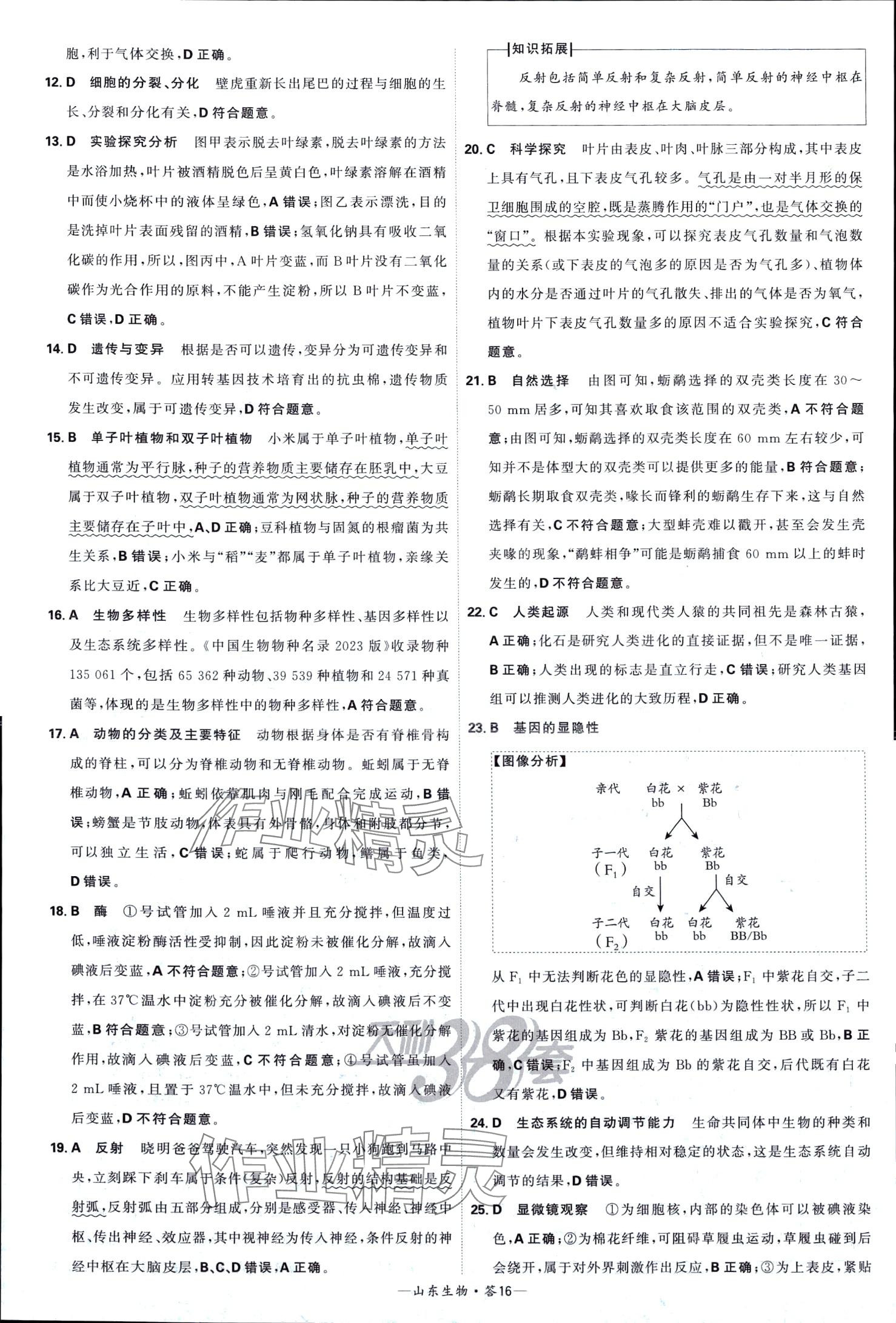 2024年天利38套中考試題精選生物中考山東專版 第16頁