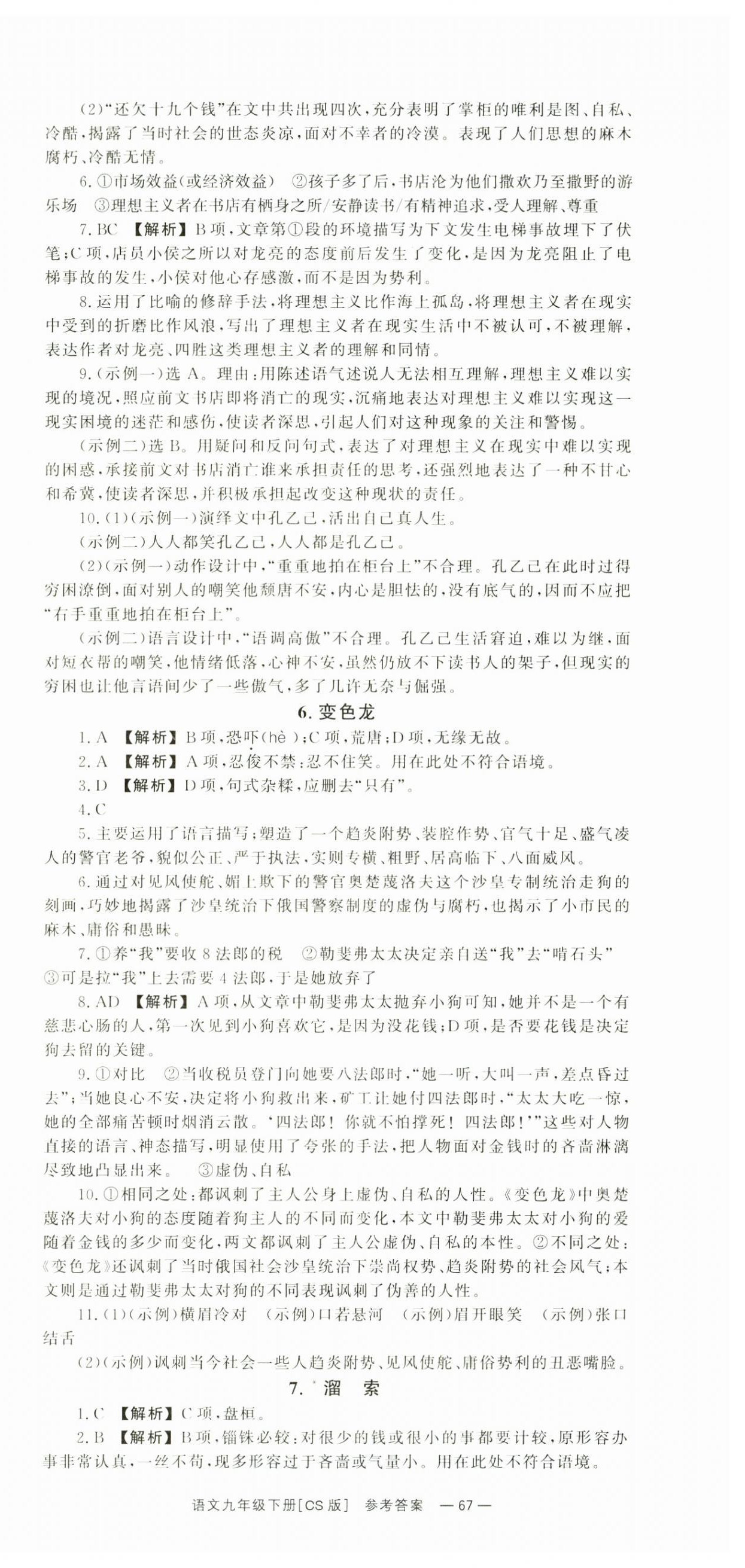 2025年全效學(xué)習(xí)同步學(xué)練測(cè)九年級(jí)語文下冊(cè)人教版 第3頁