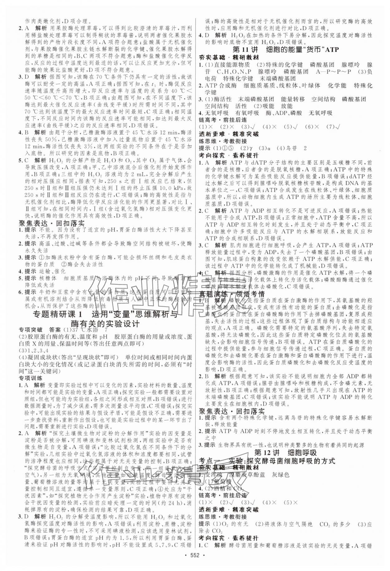 2025年高考總復習優(yōu)化設計高中生物人教版 第10頁