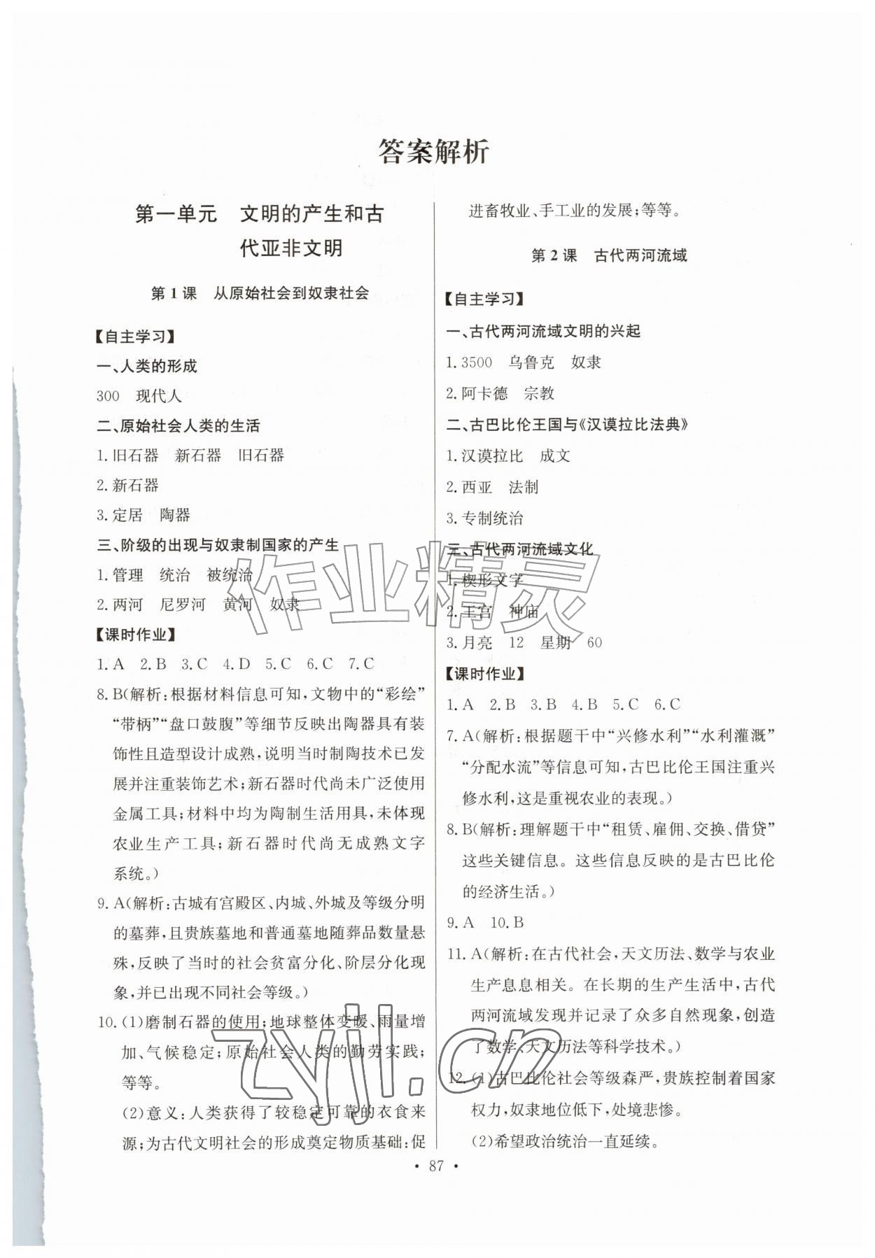 2026年长江全能学案同步练习册九年级历史上册人教版&nbsp;第1页