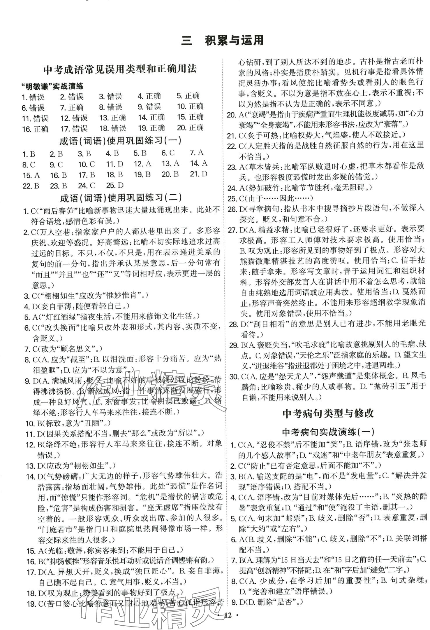 2024年精準初中語文一本通 第12頁