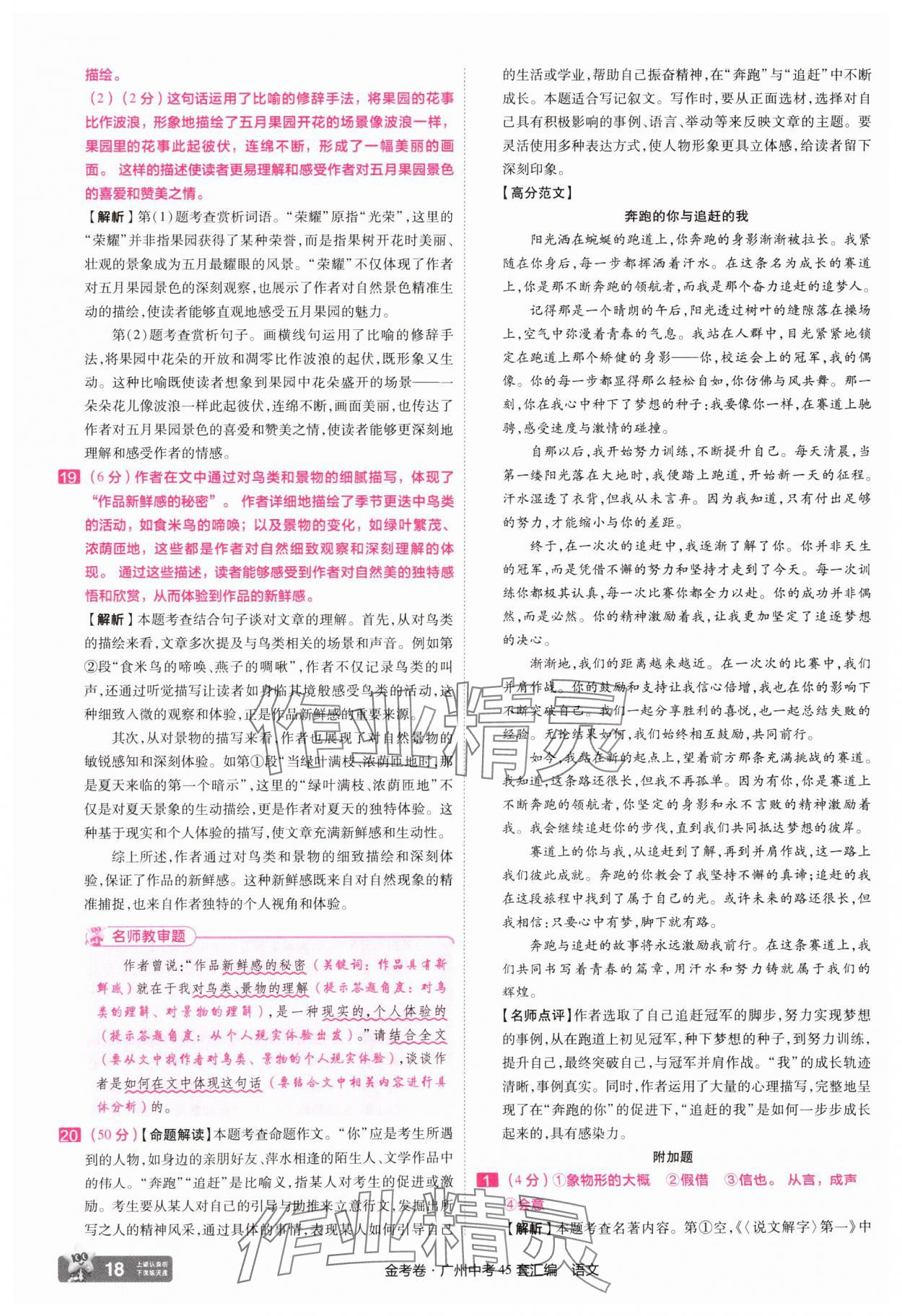 2025年金考卷中考45套汇编语文广州专版 第18页