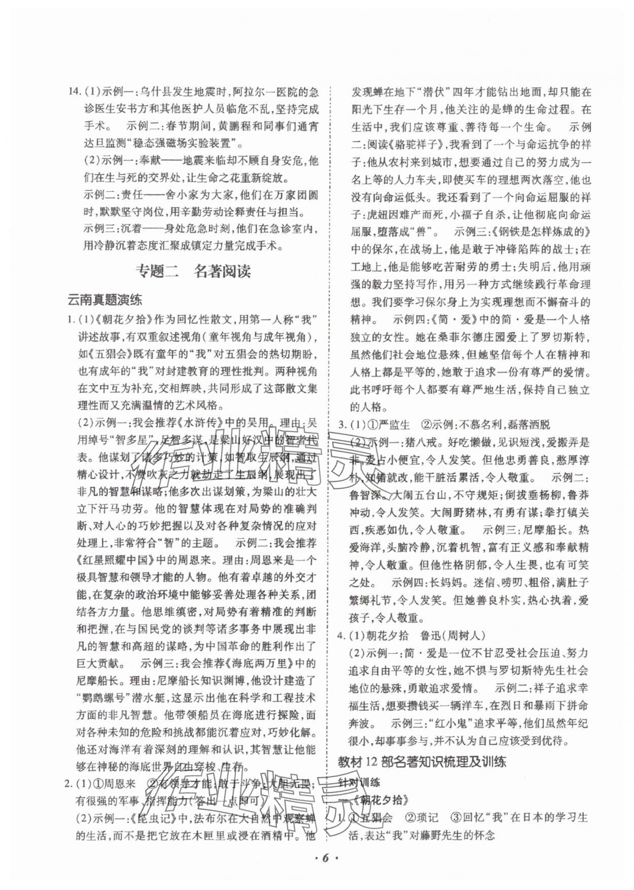 2025年本土攻略精準(zhǔn)復(fù)習(xí)方案語文云南專版 參考答案第6頁