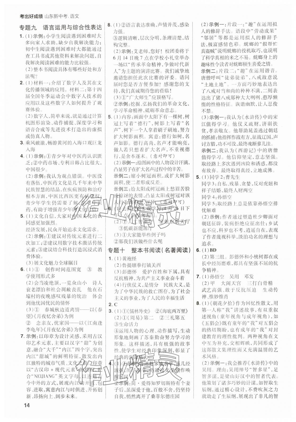 2025年考出好成绩中考总复习语文山东专版 参考答案第13页