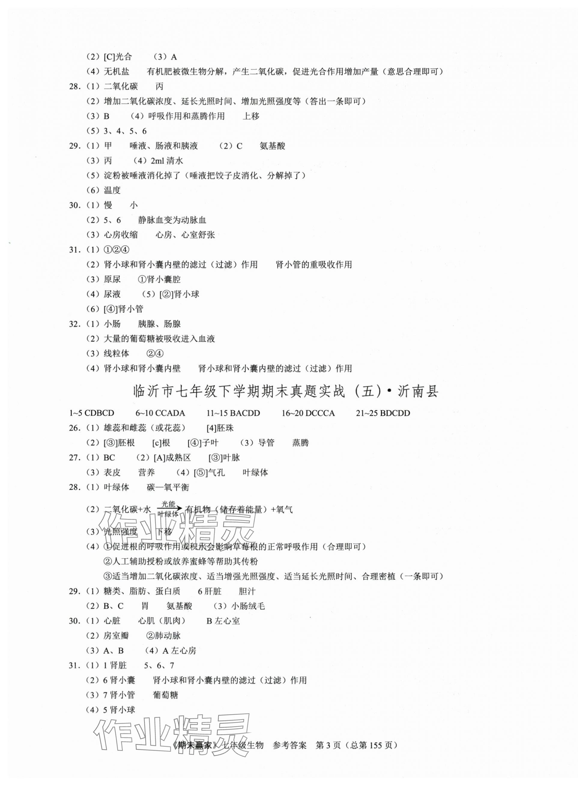 2025年期末贏家七年級生物下冊人教版臨沂專版 第3頁
