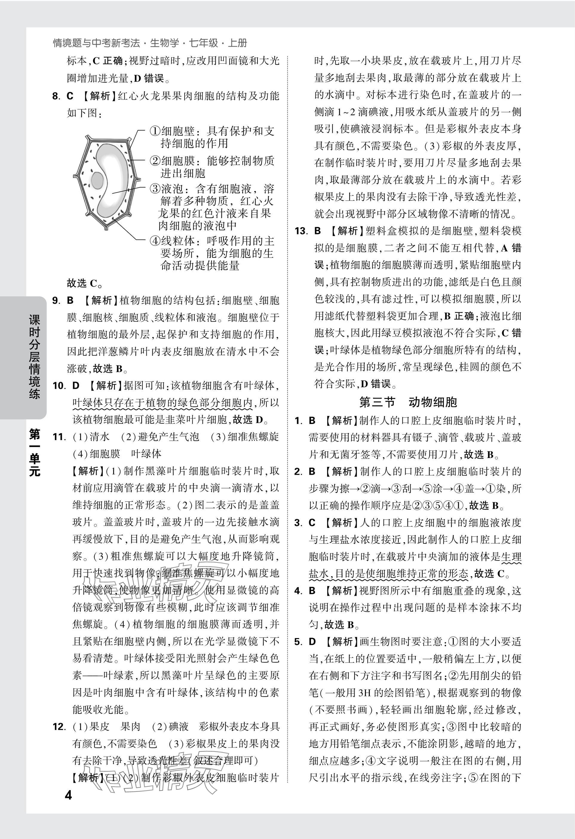 2025版萬唯中考情境題七年級(jí)生物上冊(cè)人教版 參考答案第4頁