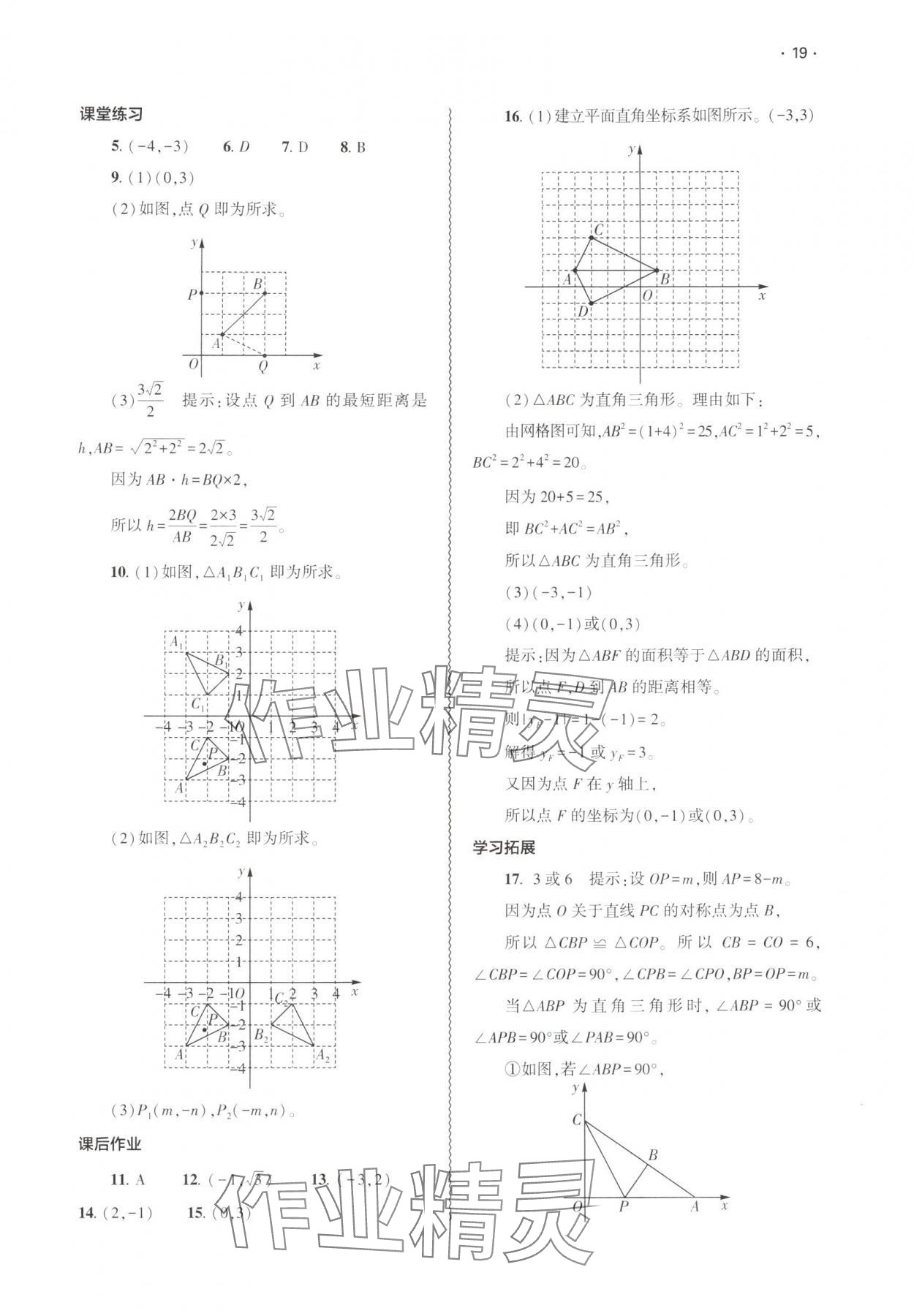 2025年基礎(chǔ)訓(xùn)練大象出版社八年級(jí)數(shù)學(xué)上冊(cè)北師大版 第19頁(yè)