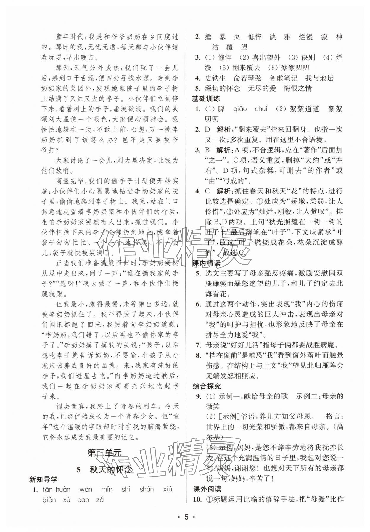 2025年创新课时作业本七年级语文上册人教版&nbsp;第5页