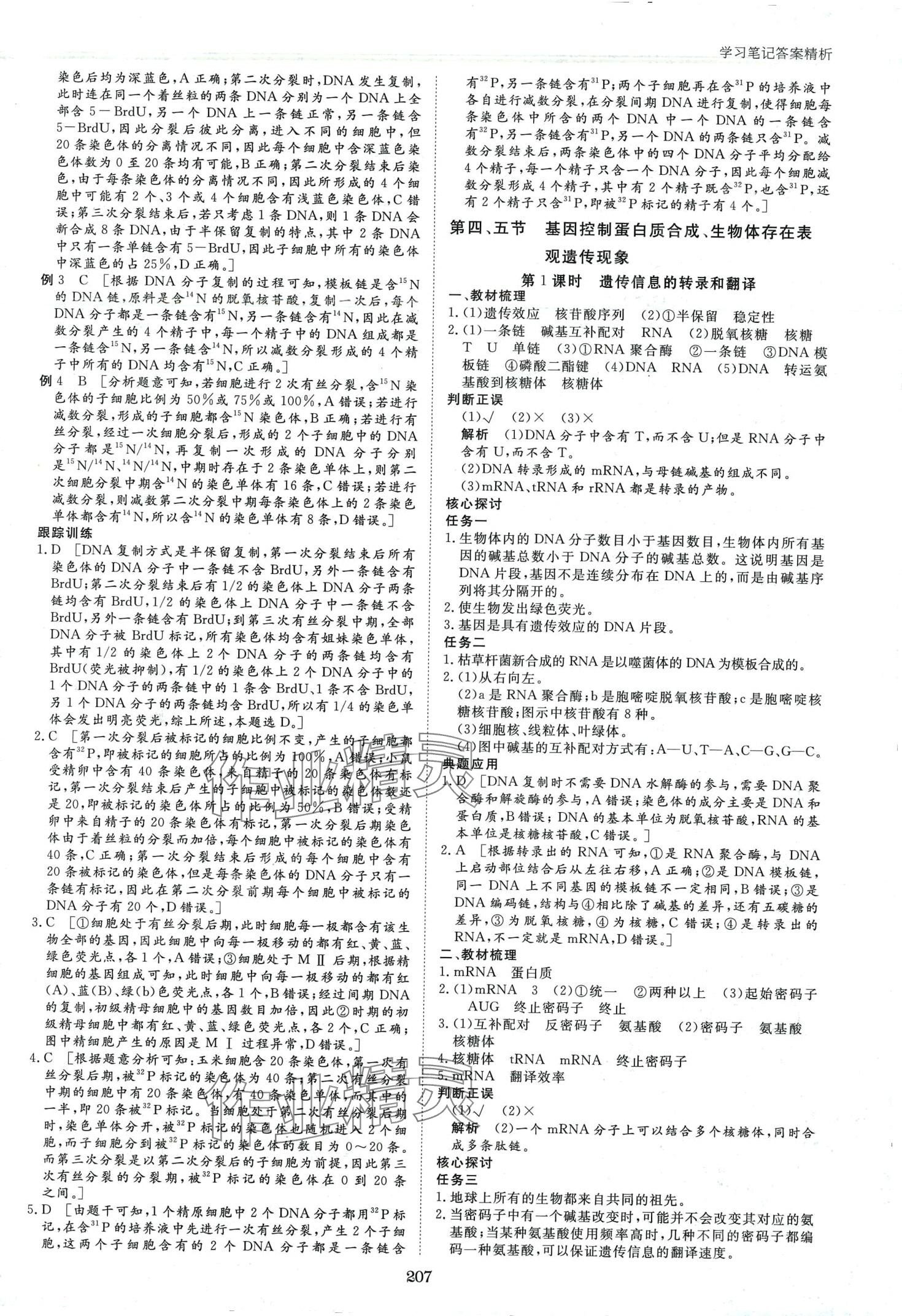 2024年步步高學(xué)習(xí)筆記高中生物必修2浙科版 第10頁(yè)