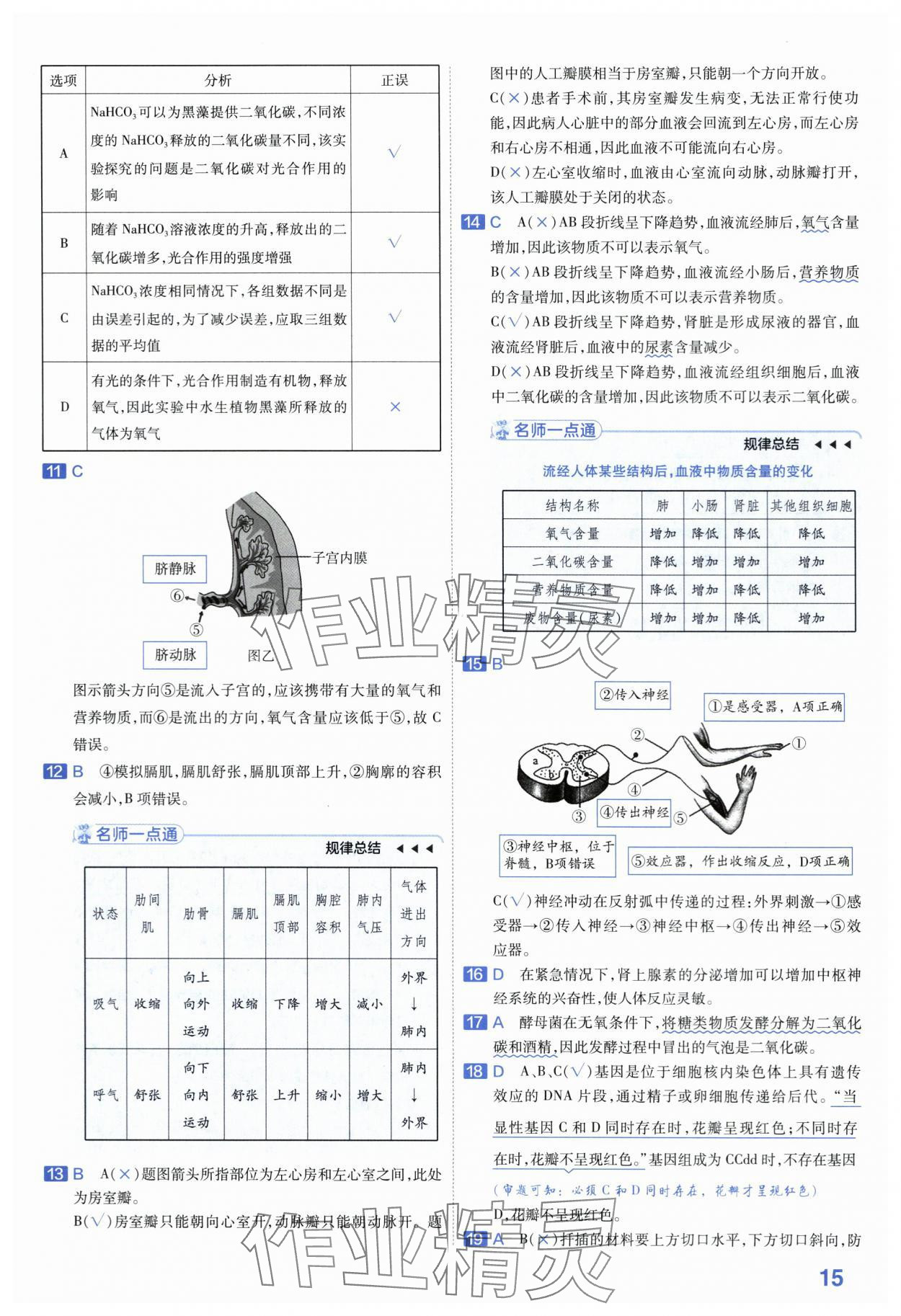 2024年金考卷45套匯編生物河南專版 第15頁